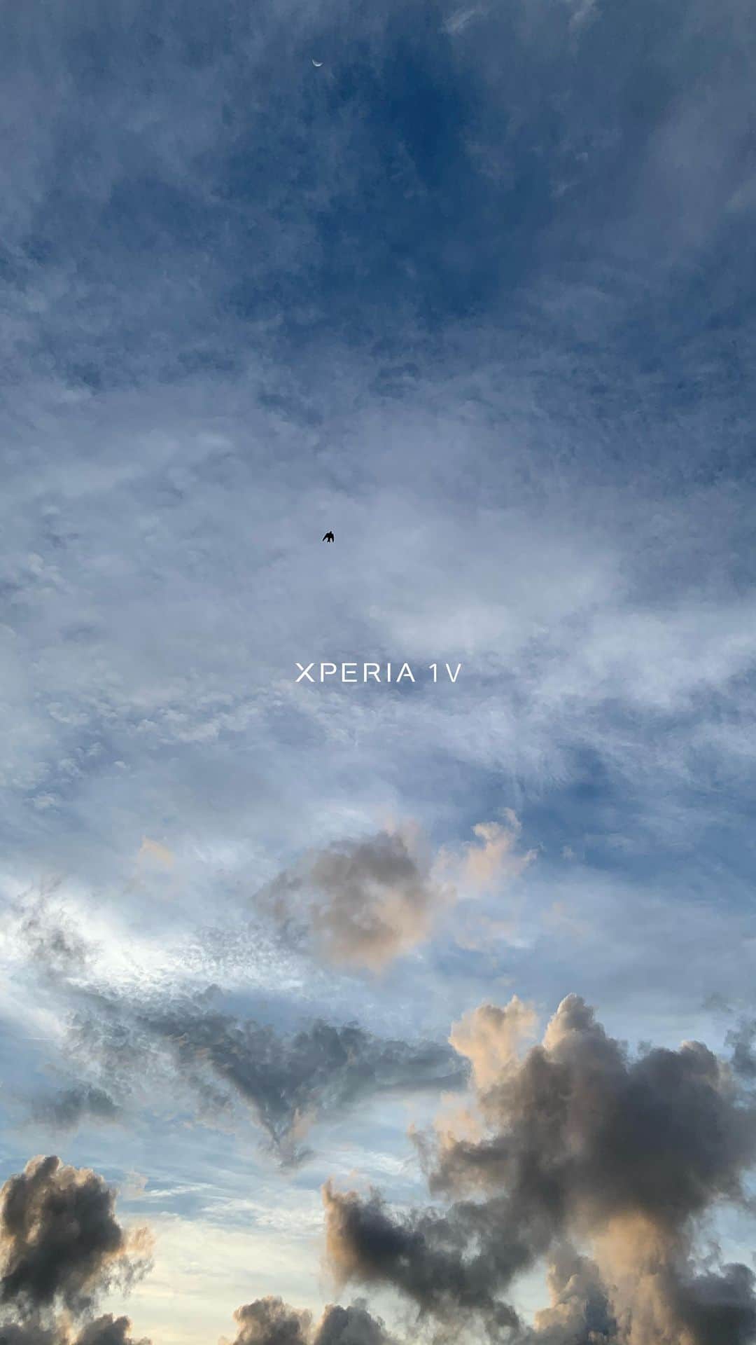 山口功貴のインスタグラム：「@sonyxperia just announced the Xperia 1 V and I made a field review on YouTube so go check it out!  w/ @kotenko_irina_   @sonyxperia #shotonxperia #xperia1v #sonyxperia #wowxperia #cinematicvideo  #smartphone #mobilevideography」