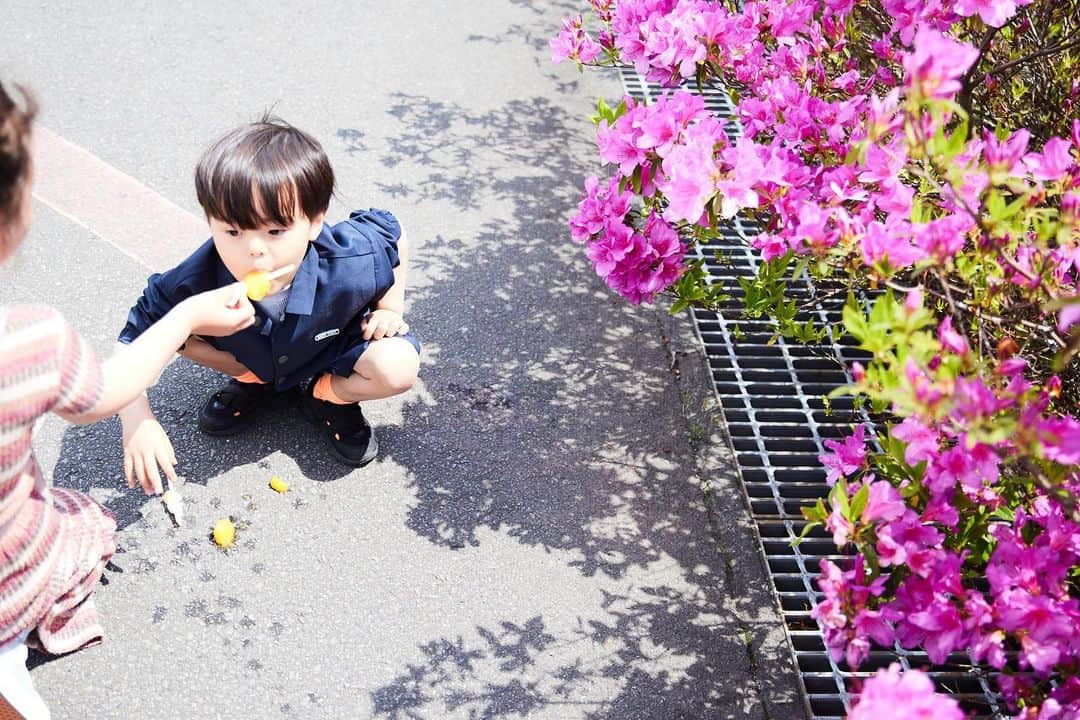 関谷桃子さんのインスタグラム写真 - (関谷桃子Instagram)「アイス🍨を落とした男....♡  #オレとアイス #popcicles  #4yoboy  📷by @maruokono ♡」5月11日 14時12分 - momomo_s_