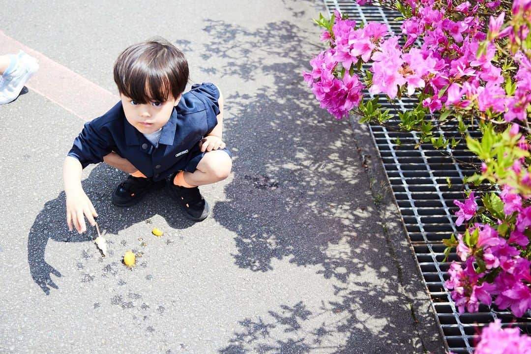 関谷桃子さんのインスタグラム写真 - (関谷桃子Instagram)「アイス🍨を落とした男....♡  #オレとアイス #popcicles  #4yoboy  📷by @maruokono ♡」5月11日 14時12分 - momomo_s_