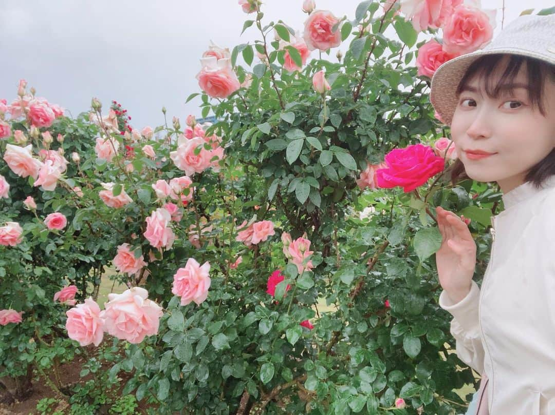 伊沢千夏さんのインスタグラム写真 - (伊沢千夏Instagram)「今年も会いに行きました🌹 ☔️だけど、漫喫☺️ #ばらえん」5月12日 0時34分 - izawachinatsuofficial