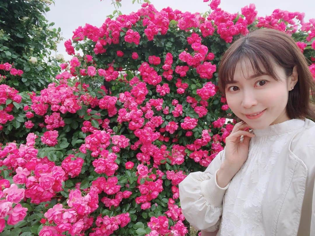 伊沢千夏さんのインスタグラム写真 - (伊沢千夏Instagram)「今年も会いに行きました🌹 ☔️だけど、漫喫☺️ #ばらえん」5月12日 0時34分 - izawachinatsuofficial