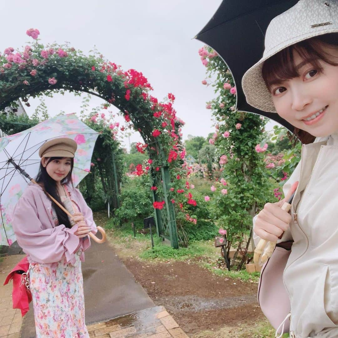 伊沢千夏さんのインスタグラム写真 - (伊沢千夏Instagram)「今年も会いに行きました🌹 ☔️だけど、漫喫☺️ #ばらえん」5月12日 0時34分 - izawachinatsuofficial