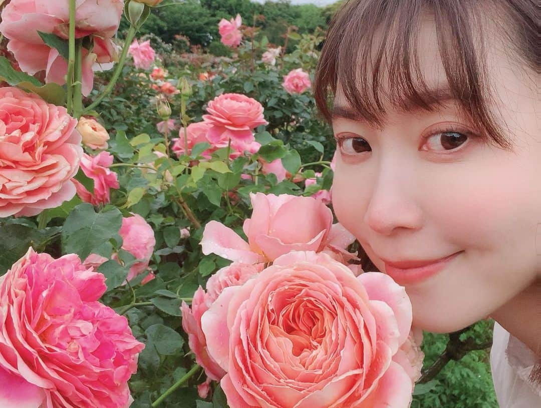 伊沢千夏さんのインスタグラム写真 - (伊沢千夏Instagram)「今年も会いに行きました🌹 ☔️だけど、漫喫☺️ #ばらえん」5月12日 0時34分 - izawachinatsuofficial