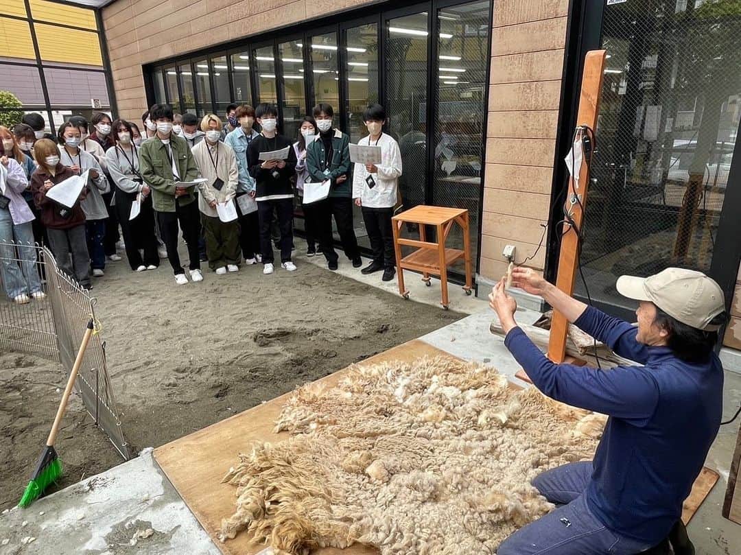【公式】東京コミュニケーションアート専門学校ECOさんのインスタグラム写真 - (【公式】東京コミュニケーションアート専門学校ECOInstagram)「⁡. 動物ワールド1年生の授業で、『羊の毛刈り実習』の授業が行われました🐏 ⁡  神奈川県にある福田牧場様の羊をお呼びして、授業を行いました 講師の工藤先生、ご指導ありがとうございました🙌🏻  学生さんたちは、悪戦苦闘しながらも羊に負担をかけないように真剣に取り組んでいました🌟 ⁡ これからも、真剣に楽しく頑張りましょう👊🏻🔥  ・－・－・－・－・－・－・－・－・ ⁡ 学校説明会やオープンキャンパスも実施しております🐰🌱 ぜひご参加ください🕊🛰 ⁡ ・－・－・－・－・－・－・－・－・ ⁡ #tca東京eco動物海洋専門学校 #tcaeco #動物 #海洋 #ペット #自然環境 #恐竜 #専門学校 #オープンキャンパス #oc #進路 #動物園 #飼育員 #ひつじ #羊 #羊の毛刈り #福田牧場」5月11日 16時47分 - tca_eco