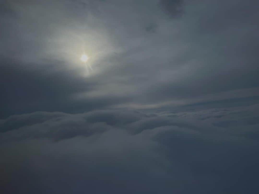 日下裕江さんのインスタグラム写真 - (日下裕江Instagram)「❁.*･ﾟℍ𝕖𝕒𝕧𝕖𝕟ﾟ･*:.｡❁  ここは天国？ って思うくらい 真っ白な世界の中に １つの光だけ✨  不思議な感覚になりました🫧  雲の中や雲の上 飛行機に乗って見る窓の外は いつ見ても飽きないな🎵  飛行機から見下ろす五稜郭や 函館山展望台も素敵でした💓  今回も色々と美味しいものが食べれて満足😋  載せられてなかった食べ物を記録用に一挙載せ♪w  時間が無かったので、空港近くにある一文字ラーメン🍜 濃いめだけど、美味しかった♪  普段はなかなか食べないとうもろこしも、北海道だと丸ごと一本食べたくなる🌽  コーヒー牛乳安定で美味しかったです🐄  ジンギスカンもめっちゃ美味しったな〜🤤 美味しいし、食べやすくて食べ過ぎた🐖笑  函館鮨金総本店🍣 かなり有名だそうで、満席でした🈵💦 新鮮なお寿司美味しかったです💕  松前城の桜まつりの屋台で売ってたおでん🍢も美味しかったな〜 こっちには売ってない珍しいものも入ってたよ✨  満腹満たされました🫄🏻💕  #天国 #雲の中 #真っ白な世界 #光 #一筋の光 #雲と太陽 #飛行機  #離陸 #函館 #北海道 #飛行機の窓から #飛行機からの景色 #飛行機からの眺め #ana #ana機内 #anaairlines」5月11日 17時03分 - hiroe___h