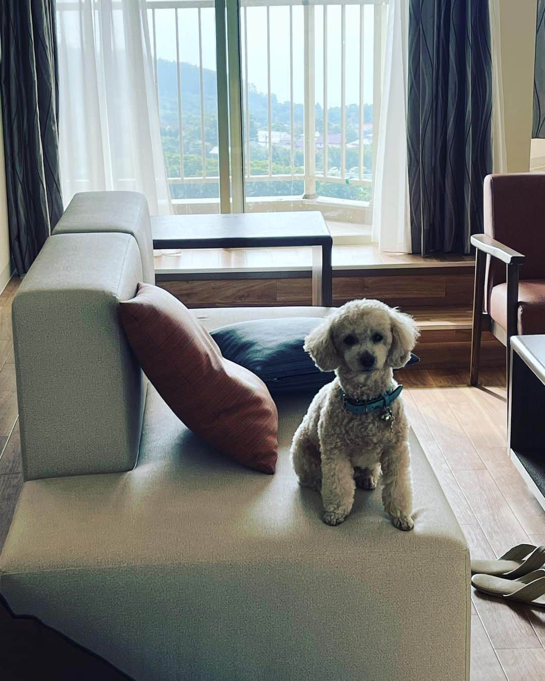 金村義明のグルメインスタ