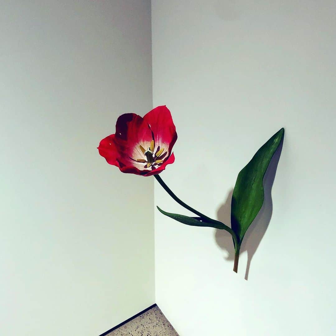 西山由のインスタグラム：「Souvenir de voyage à Tokyo : " Tulipe " par Yoshihiro Suda.」