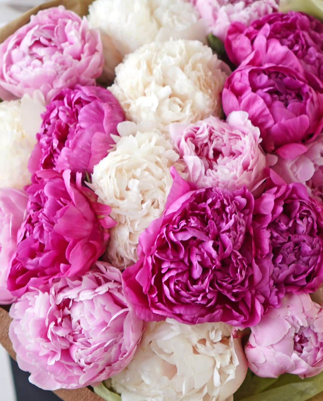AOYAMA_HANAMOさんのインスタグラム写真 - (AOYAMA_HANAMOInstagram)「繊細で柔らかな芍薬を、たっぷりと束ねて。 ・ 濃いピンク、淡いピンク、白の3種の芍薬だけでお作りする、ラウンドスタイルの花束。重なる花びらとみずみずしい花色は思わず目を奪われる美しさです。 ・ 今年も大人気の芍薬のフラワーギフト。 本数指定の花束は10本からお好みの本数をお選びいただけますので、ぜひご自分用や大切な方へのお祝いにご利用ください。 芍薬のお取り扱いは6月上旬までの短い期間です。どうぞ時期を逃さずお楽しみください。 ・ 商品名：【お好みの本数指定】芍薬の花束 開花しはじめの、つぼみに近い状態の芍薬でお作りします。花瓶に活けて、大きく花開くさまをお楽しみいただけます。 - - - #aoyamahanamo #青山花茂 #お花のある生活 #花が好きな人と繋がりたい #花を贈ろう #花のある暮らし #花のあるくらし #花のある日常 #癒しの花 #季節の花 #旬の花 #花とおうち時間 #花贈り #フラワーギフト #花の贈り物 #花束 #ブーケ #ナチュラルブーケ #芍薬ブーケ #ピオニーブーケ #芍薬 #シャクヤク #ピオニー #初夏の花」5月11日 18時00分 - aoyama_hanamo