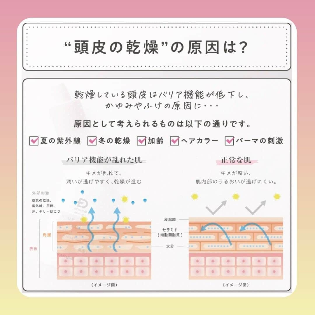 スカルプDボーテさんのインスタグラム写真 - (スカルプDボーテInstagram)「【"頭のかゆみ”頭皮の乾燥が原因かも？！】   冬だけではない、頭皮乾燥が巻き起こす様々な悩みに正しいケアを発信♪   最後に頭皮用保湿美容液アイテムをご紹介します！   〈こんなお悩みありませんか？〉  ✔️頭皮のフケ・かゆみが気になる   ✔️気がつくと頭をかいてしまう   ✔️頭皮のつっぱり感や、かさつきがある  これらは頭皮の乾燥のサインです！   〈頭皮の乾燥の原因は？〉  ✔️夏の紫外線  ✔️冬の乾燥  ✔️加齢  ✔️ヘアカラー  ✔️パーマの刺激    〈頭皮にも保湿美容液がおすすめ◎〉  勇心酒造とアンファーが共同開発した  「スカルプD ボーテ＜薬用＞頭皮保湿美容液」   コメ由来の成分（ライスパワーエキス®︎No.11）で頭皮乾燥にサヨナラ！！   乾燥が気になる部分を中心に朝・夜の使用がおすすめです。   朝：スタイリング前   夜：ドライヤー後   ※育毛剤を使用している方は、育毛剤の前にお使いください。   〈使い方〉  1.頭皮が見えるように髪をかき分ける。    2.ノズルの先を頭皮に軽くあて適量 （頭頂部、側頭部、後頭部と分けて各部位3～5滴程度）を塗布。   3.指の腹で良くなじませ、頭皮に行きわたらせます。   頭皮のかゆみは生活のパフォーマンスにも影響しますよね。   お肌と同じように頭皮もしっかり保湿し、乾燥対策をしましょう！   最後までご覧いただきありがとうございます❤︎   スカルプD ボーテでは、女性のためのヘアケアに関する情報をお届けしています！   @scalpdbeaute からフォローして、ぜひチェックしてみてくださいね。   商品のレビュー、感想は　#スカルプdボーテ でタグ付けしてお知らせしてね❤︎　 公式アカウントで取り上げるかも…！？      #おとなの髪のお悩みさん #アンファー #スカルプdボーテ #スカルプdボーテナチュラスター#スカルプD#ヘアケア#女性抜け毛#産後抜け毛 #スカルプケア#ヘッドスパ#髪の悩み#ヘアケアグッズ#ヘアケア商品#ヘアケアマイスター#髪#ツヤ髪#シャンプー#シャンプーマニア#トリートメント#おうち美容#乾燥#乾燥対策#頭皮の乾燥#頭皮用美容液#保湿#頭皮保湿美容液」5月11日 18時12分 - scalpdbeaute