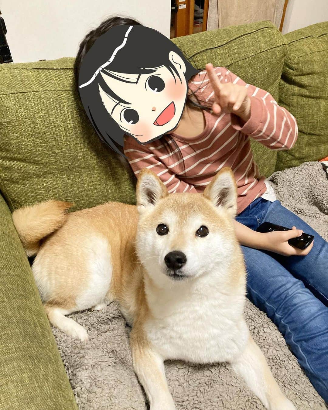 ゆもこのインスタグラム：「「きょーはいもーとのお誕生日だよ！」 ひよりの妹、チビちゃんが6歳になりました🥳 来年は小学生です😊 すっかりお姉さんになり、すでに小学生に間違われるくらい大きくなりました🎒 しっかり者で優しくて、だけど甘えん坊なチビちゃんです☺️ 身長118センチあるのでチビではないんですけどね😂 3歳の頃からピアノをしていて、今は両手で弾いております☺️ 絵も得意で賞状をもらったこともありました💮 苦手な事もあるけど、得意な事好きな事たくさん伸ばしていけたらなぁと思います😊 スクスク大きくなってくれてありがとう！ これからも元気いっぱいチビちゃんらしく成長してね😚 #チビちゃんとひよさん #チビちゃんの成長記録  ※ ※ ※  #dogsofinstagram #日本犬 #柴犬 #柴 #赤柴 #shiba #犬バカ部 #ふわもこ部 #柴犬マニア #しば #shibadog #sibainu #ひより日和 #柴女子 #shibagram #worldofcutepets #cutedog #doglover #shibastagram #いぬら部 #柴犬ひより #peco犬部」