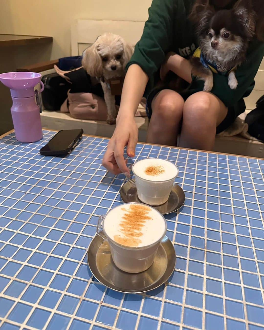 七瀬美月さんのインスタグラム写真 - (七瀬美月Instagram)「almond hostel and cafe ☕️🐶 お久しぶりのさきまると🩵🐻‍❄️  ここのdogcafe行ってみたくて行けて嬉しい🩶☕️  こぐまる久々だったからか仲良く遊べなかった😂 雨だったから次は晴れの時にドックランへいきましょ🌞  photo📷´- @manami_aramichi 🪻🪷  #代々木八幡#代々木cafe #膝小僧に顔あるw#☔️ #almondhostelandcafe  #dogcafe#東京dogcafe  #ランチ#🐶🐶🐶#カフェ巡り #太ったけどさきが細く撮ってくれた😂 #バイカーショーツ#賛否w#code#ootd」5月11日 19時16分 - yskwask1114