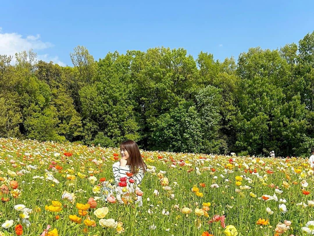 上坂由莉さんのインスタグラム写真 - (上坂由莉Instagram)「📍 万博記念公園 ⁡ 行った日はちょうどポピーが満開でした🌼 ポピーて色味がめちゃくちゃ可愛いですよね🧡 ⁡ じとーっとした梅雨は苦手なんですが、 紫陽花も好きなので、それだけが楽しみ🧚‍♀️🩵 ⁡ ⁡ #万博記念公園 #万博公園 #ポピー #お花畑 #春休み #観光スポット #太陽の塔 #関西ドライブ #大阪旅行 #関西お出かけ #おでかけスポット #大阪観光 #大阪旅行」5月11日 19時41分 - yuri_yoga.727