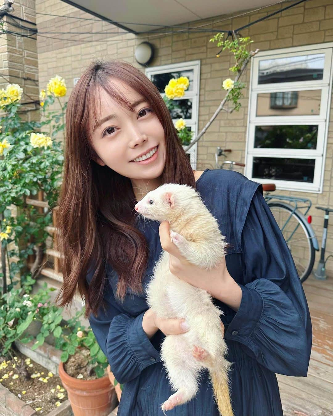 辻満里奈さんのインスタグラム写真 - (辻満里奈Instagram)「実家で飼っているフェレットのジジ🫶  もう5歳ですが、病気ひとつしたことがない健康体です✨  #フェレット #ジジ #マーシャルフェレット #アナウンサー #セントフォース #辻満里奈」5月11日 19時43分 - marina__tsuji