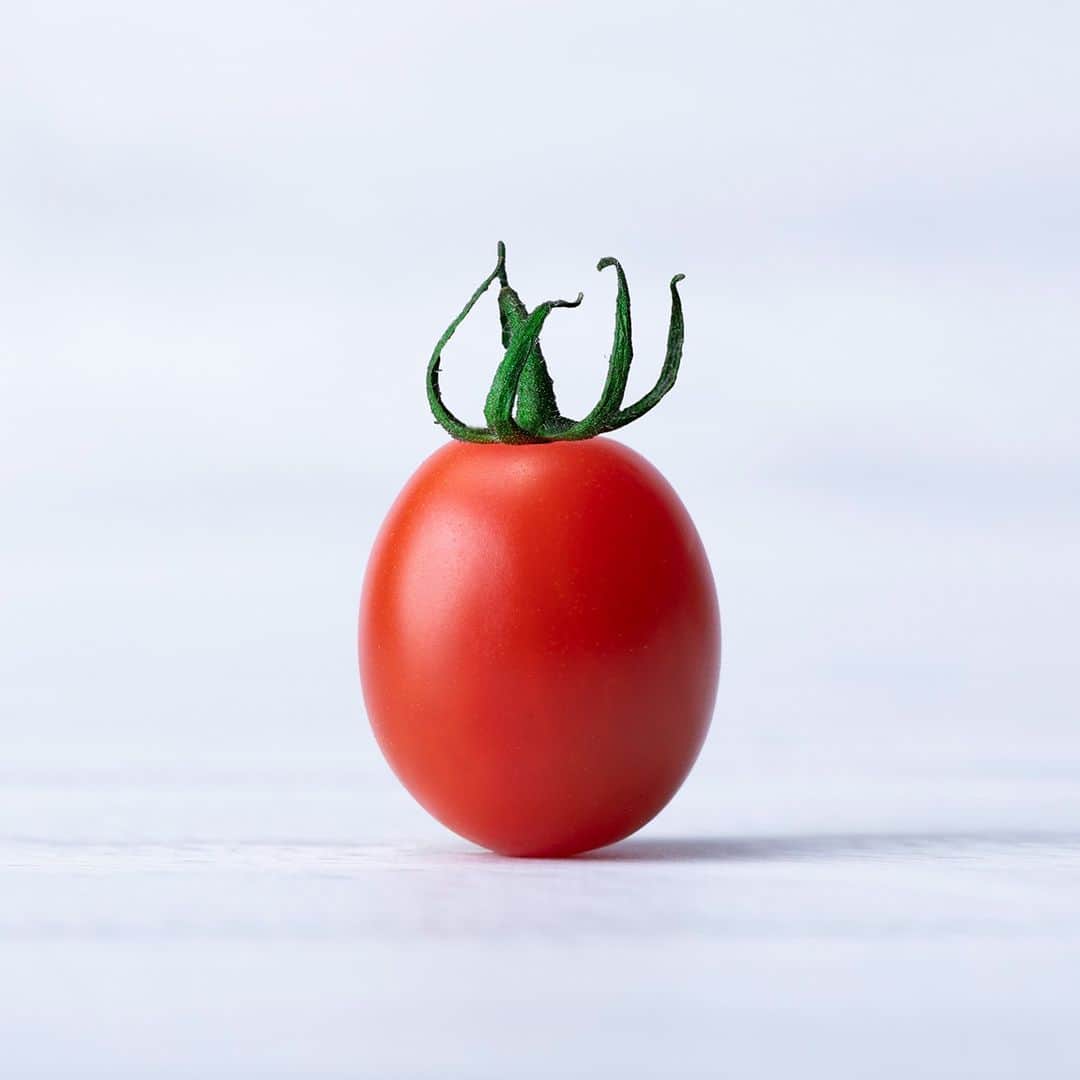 ＯＳＭＩＣ【オスミックトマト公式】さんのインスタグラム写真 - (ＯＳＭＩＣ【オスミックトマト公式】Instagram)「OSMICは美味しいトマトを作るために、日々研究を重ね、技術を磨き続けています！  今回は「OSMIC」についてご紹介✨  そもそもOSMICって何？何の略称なの？と疑問に思うのではないでしょうか？  「Organic Soil Microbe Cultivation (微生物を活用した有機培土栽培)」 の頭文字と取ってできた言葉なんです🍅  培土と栽培の重要さがこのことからもわかっていただけると嬉しいです😊   ------------------------------------ 【公式】OSMIC トマト https://www.youtube.com/channel/UCb6H-ILoMFnDxEc00QlIcBg ------------------------------------  ほかにも、OSMICの公式YouTubeチャンネルでは、 色々な動画を公開しておりますので、 チャンネル登録していただけると嬉しいです🍅！  #OSMIC　#OSMICトマト #オスミックトマト #OSMICFIRST　#オスミックファースト　#ミニトマト #高糖度フルーツミニトマト #OSMIC #美味しさの秘密 #農場 #栽培　#糖度　#糖度選果 　#トマト #フルーツトマト #トマト大好き #野菜 #ハウス　#YouTube」5月11日 20時00分 - osmic_jp