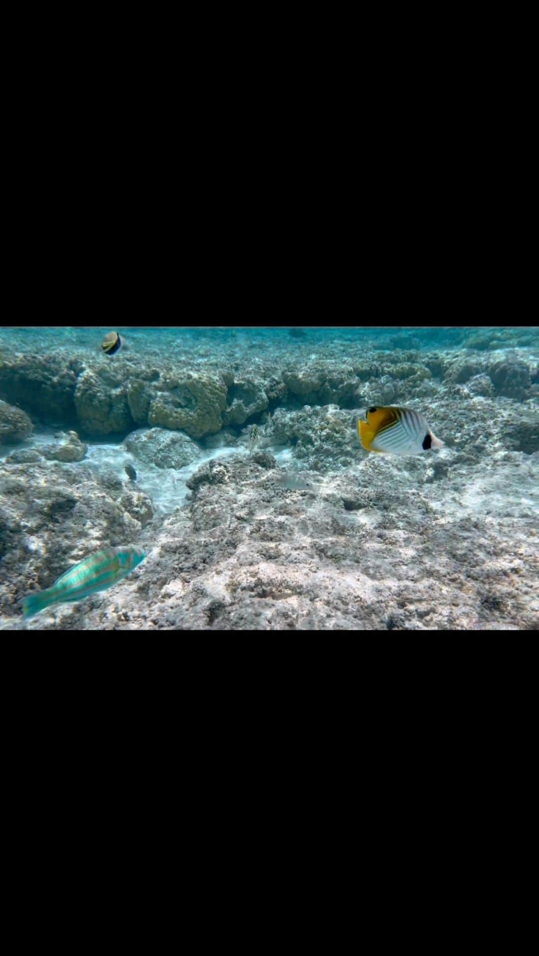 キム・ナヒョンのインスタグラム：「진챠 이게 머야 ㅜ 🐠 💙」