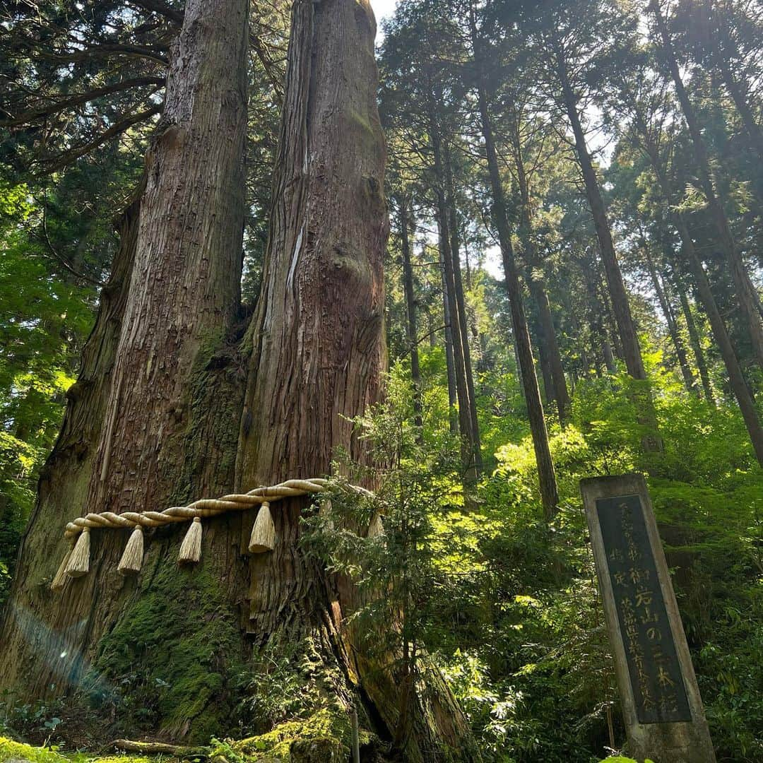 大家志津香のインスタグラム