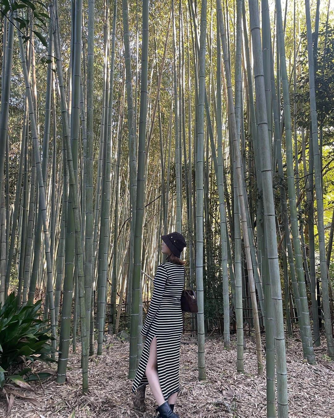 大和田南那さんのインスタグラム写真 - (大和田南那Instagram)「ママと京都旅行に行った時の🕊️  美味しいお料理や綺麗な景色にすごく癒されました🌿🪐… 色んな所へ行って日本をもっと知りたいなぁ🪷」5月11日 20時36分 - nanaowada_official