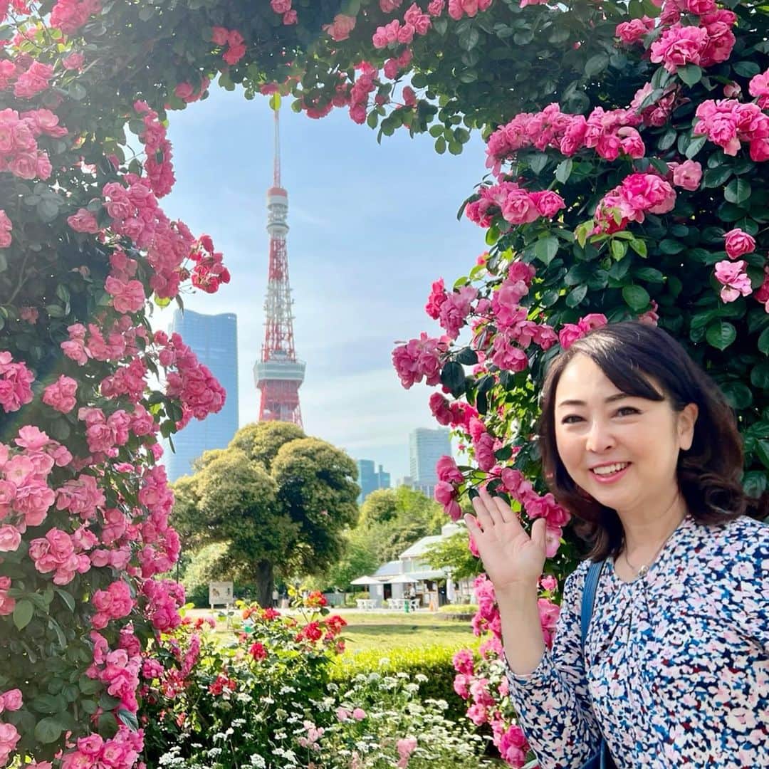 牛窪万里子さんのインスタグラム写真 - (牛窪万里子Instagram)「昨日はラジオ収録後にスタジオ近くの芝公園に立ち寄り、バラのモニュメントを見てきました。  バラ窓から覗く東京タワーの景色はここでしか味わえない特別な場所。  今年も見ることが出来て嬉しい気分に🎵  #バラ #薔薇 #バラ窓 #東京タワー #芝公園」5月11日 20時49分 - mariko_ushikubo