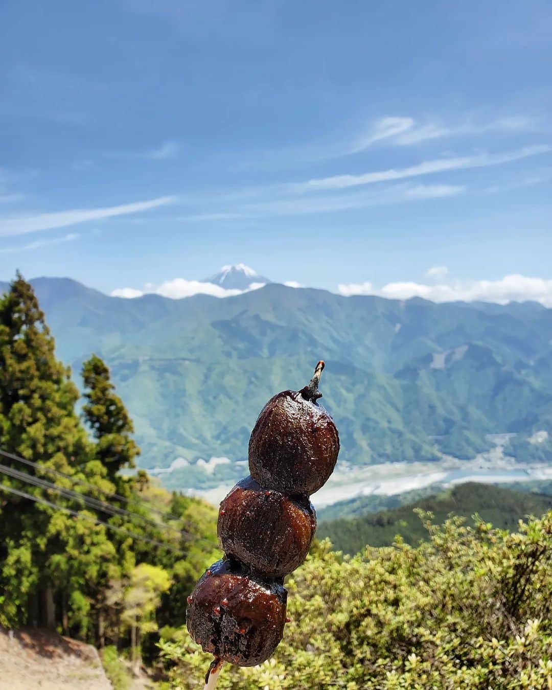 小谷津友里さんのインスタグラム写真 - (小谷津友里Instagram)「身延山の山頂から！富士山とみのぶだんご🍡🗻 身延山は標高1153m ロープウェイで山頂まで行ってきた！ いい景色だ～～☺️✨️  みのぶだんご 別名 串切りだんごは 串の端をはさみで切って渡されるよ👀 くし（苦死）を切って幸運を願うという意味が込められてるんだって💡 味は３種類あるんだけど からだを綺麗にする竹炭を使った竹炭だんごを食べた😊💗 おだんごにつけた秘伝のくるみ味噌も絶品！ 美味しかった😚  ここ、アニメの「ゆるキャン△」の聖地で 観たことなかったんだけど 帰って観たらハマっちゃって😍 最近の鼻歌はもっぱらゆるキャン△のテーマソング　😌🎧️🎶 笑  #身延山 #身延山ロープウェイ #みのぶだんご #くし切りだんご  #おだんご #山梨 #山梨旅 #山梨観光 #身延 #身延観光 #国内旅行 #trip #山梨グルメ #竹炭だんご #ゆるキャン #ゆるキャン聖地 #ゆるキャン聖地巡礼 #開運 #富士山 #世界遺産 #身延山ロープウェイ #山頂 #アニメ #聖地巡礼 #ロープウェイ #絶景」5月11日 20時44分 - yurikoyatsu