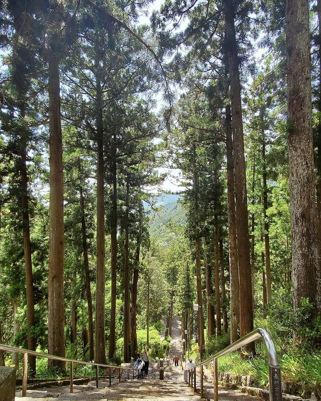 小谷津友里さんのインスタグラム写真 - (小谷津友里Instagram)「身延山の山頂から！富士山とみのぶだんご🍡🗻 身延山は標高1153m ロープウェイで山頂まで行ってきた！ いい景色だ～～☺️✨️  みのぶだんご 別名 串切りだんごは 串の端をはさみで切って渡されるよ👀 くし（苦死）を切って幸運を願うという意味が込められてるんだって💡 味は３種類あるんだけど からだを綺麗にする竹炭を使った竹炭だんごを食べた😊💗 おだんごにつけた秘伝のくるみ味噌も絶品！ 美味しかった😚  ここ、アニメの「ゆるキャン△」の聖地で 観たことなかったんだけど 帰って観たらハマっちゃって😍 最近の鼻歌はもっぱらゆるキャン△のテーマソング　😌🎧️🎶 笑  #身延山 #身延山ロープウェイ #みのぶだんご #くし切りだんご  #おだんご #山梨 #山梨旅 #山梨観光 #身延 #身延観光 #国内旅行 #trip #山梨グルメ #竹炭だんご #ゆるキャン #ゆるキャン聖地 #ゆるキャン聖地巡礼 #開運 #富士山 #世界遺産 #身延山ロープウェイ #山頂 #アニメ #聖地巡礼 #ロープウェイ #絶景」5月11日 20時44分 - yurikoyatsu