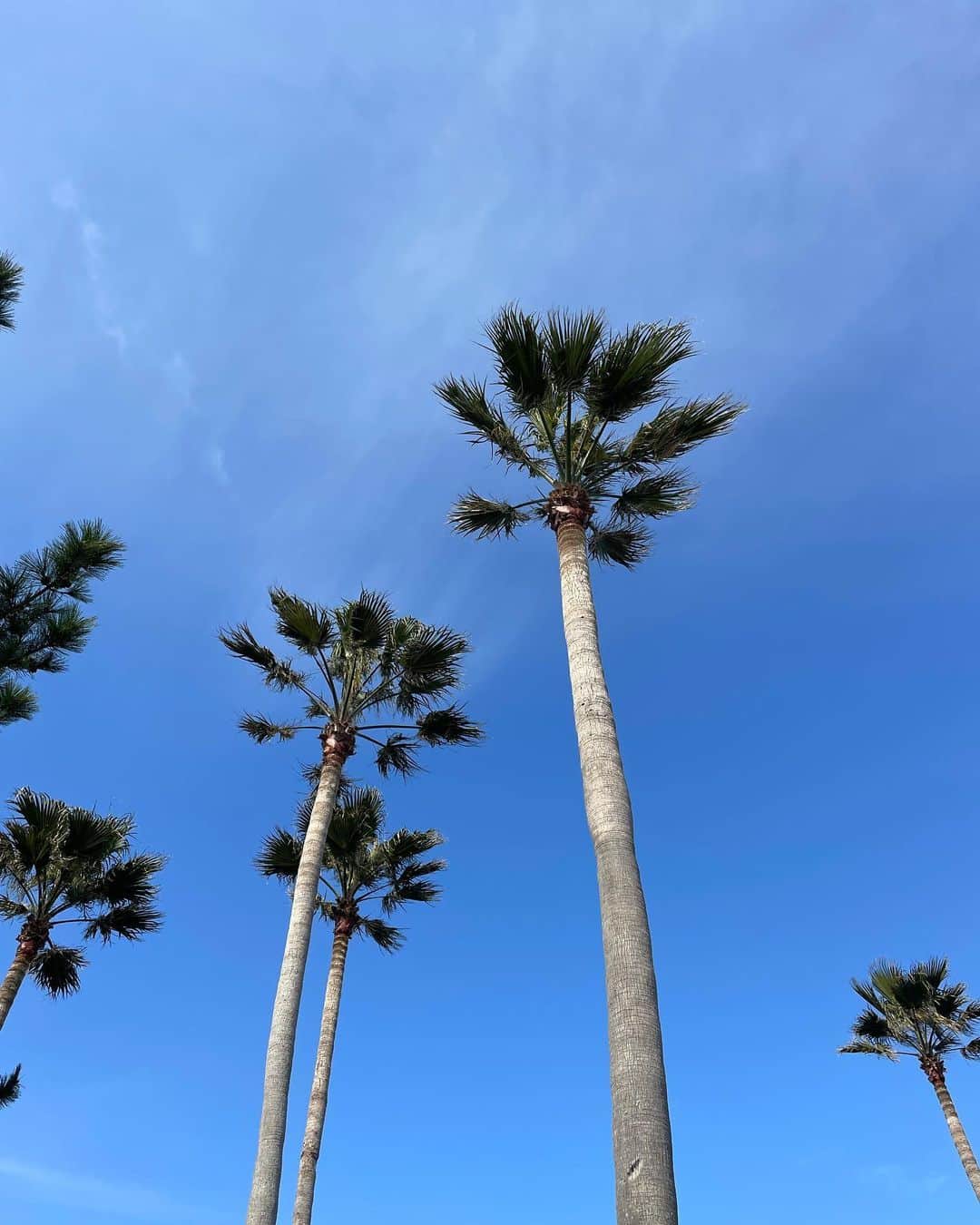 高木万平・心平のインスタグラム：「🌴☀️  #宮古島」