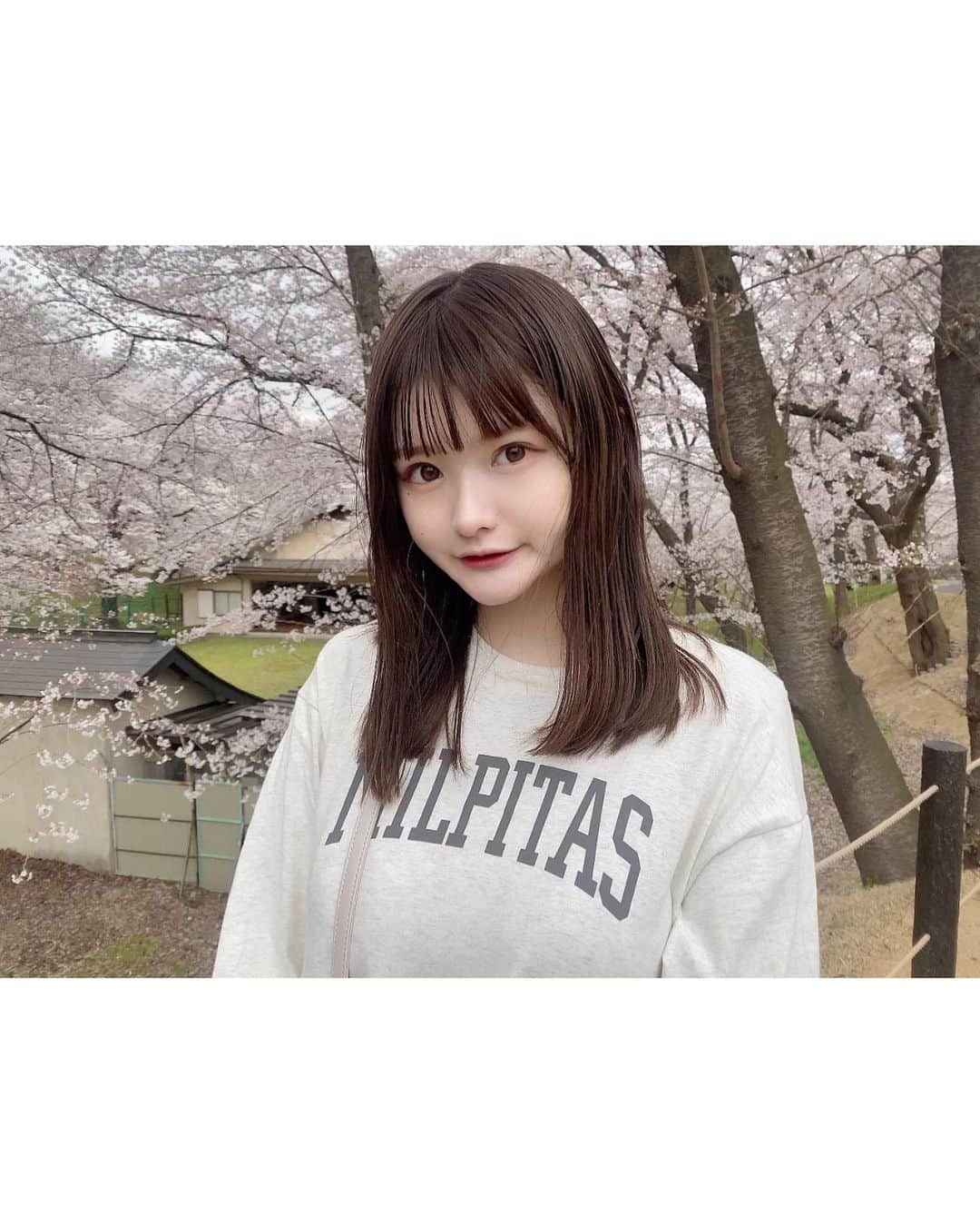 渡邉歩咲のインスタグラム：「先月お花見に行ってきました🌸」