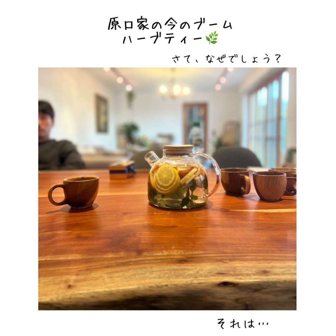 原口るりこのインスタグラム：「. . ご無沙汰しております。 . 最近まで、 元気の両親が2週間ほど ドイツに来ていて . いろんなところへ一緒に行ったので これから少しずつ 載せていこうと思います✨ . . これは、 【原口家がハーブティーにハマった】お話🌿 . . キレイな庭なのに何故か花壇だけカピカピで どうにかしたいねと話していたのですが、 . 元気のパパママが 花やハーブをキレイに植えてくれました✨ . ということで育てはじめた ハーブ🌿 そして、習慣になったハーブティー というわけです✨ . . #家族で作るお庭🌿 #家族で作る紅茶 そして #家族で作る時間♡ .」