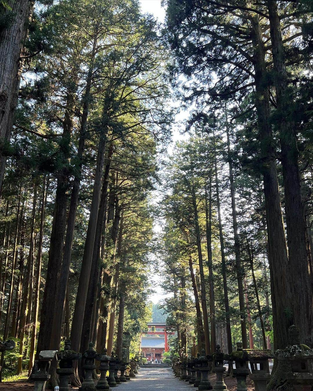 ミズノマリさんのインスタグラム写真 - (ミズノマリInstagram)「🗻 私のGWももう終わり。  今回のお休みでは、 富士山の偉大さを再確認することが出来ました☺️ そのお姿は、 美しくて、力強くて、神秘的で… 何しろカッコいい🗻 そして、 山中湖や忍野八海、 北口本宮富士浅間神社など、 世界文化遺産の富士山の構成遺産を巡り、 たくさんパワーをいただきました✨  しばらくは、 パワーがみなぎってうるさそう😝  #富士山」5月11日 21時05分 - mari_mizuno