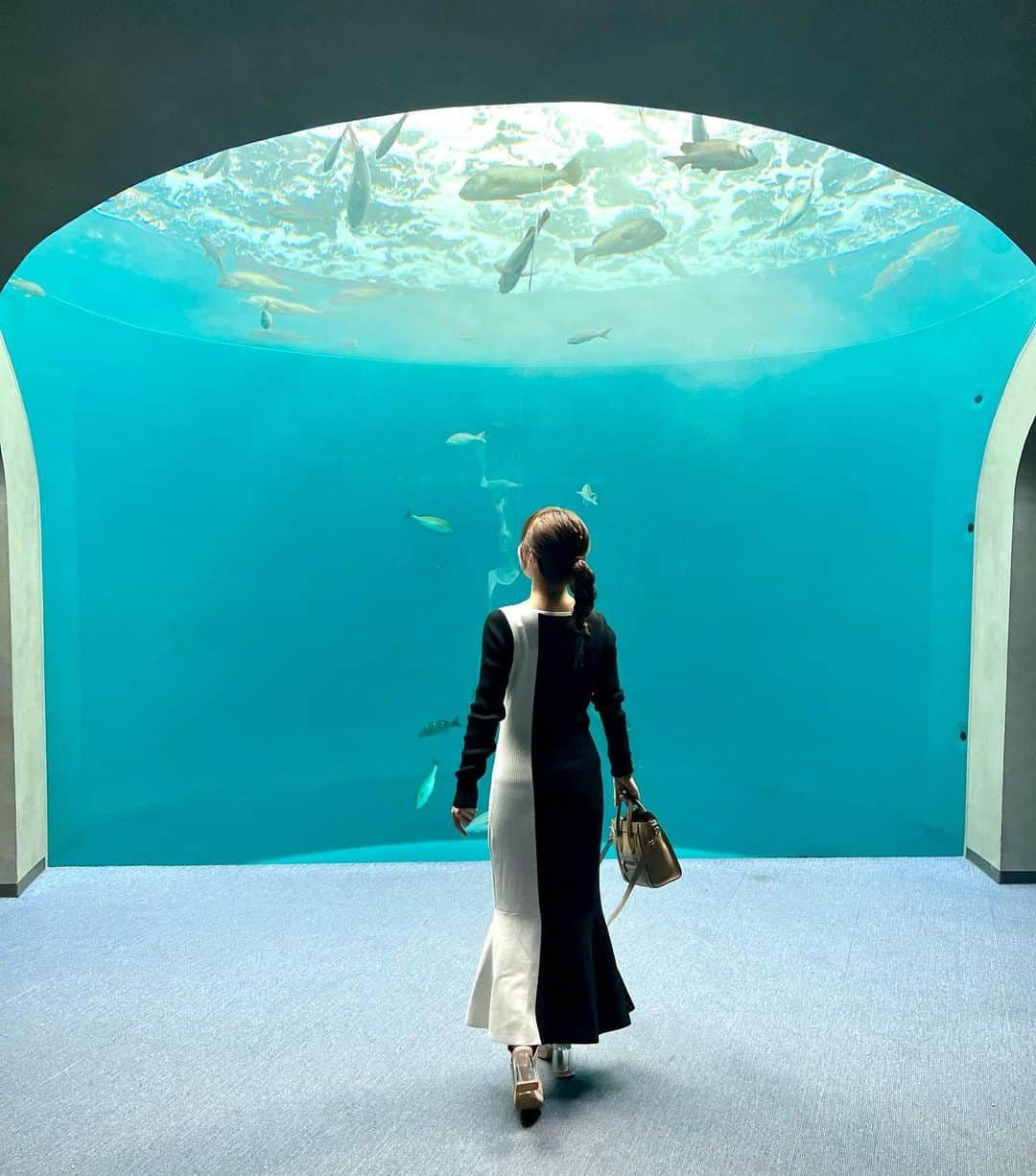 島川未有のインスタグラム：「GW、四国水族館🐠行ってきました✨ 水族館大好きで、よく海外一人旅していた時、ヨーロッパの海辺の街のこぢんまりとした水族館にふらっと入ったりしていました。ローカルな水族館、好きなんです🥹  #四国水族館#香川#香川旅行#香川観光#宇多津」