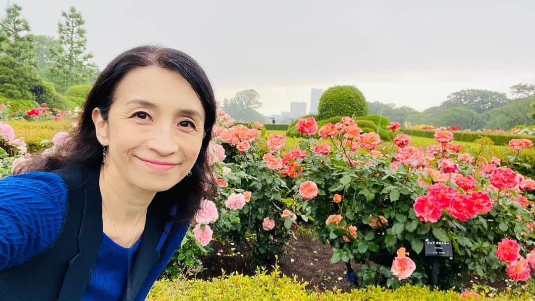 井脇幸江さんのインスタグラム写真 - (井脇幸江Instagram)「雨の中、行ってきました。  新宿御苑🌹  今日しかない 今見なければ  そんな思いに駆られて  心情的には、雨だから良かった☔️  心に、少しだけ降り注いだ雨  冷たい雨に雷だったけど  薔薇たちに、出会えて良かった☺️  ありがとう💓  #Ballet #Dancer #バレエ #バレエダンサー #芸術 #芸術観賞 #舞台 #stage #トスカ #大人 #美の世界 #四ッ谷 #Iwaki Ballet Company #IBC #バレエスタジオ #バレエ教師 #バレエ教室 #美しい #楽しい #人生 # 健康 #東京 #井脇幸江 #新宿御苑 #薔薇園」5月11日 21時49分 - yukie.iwaki