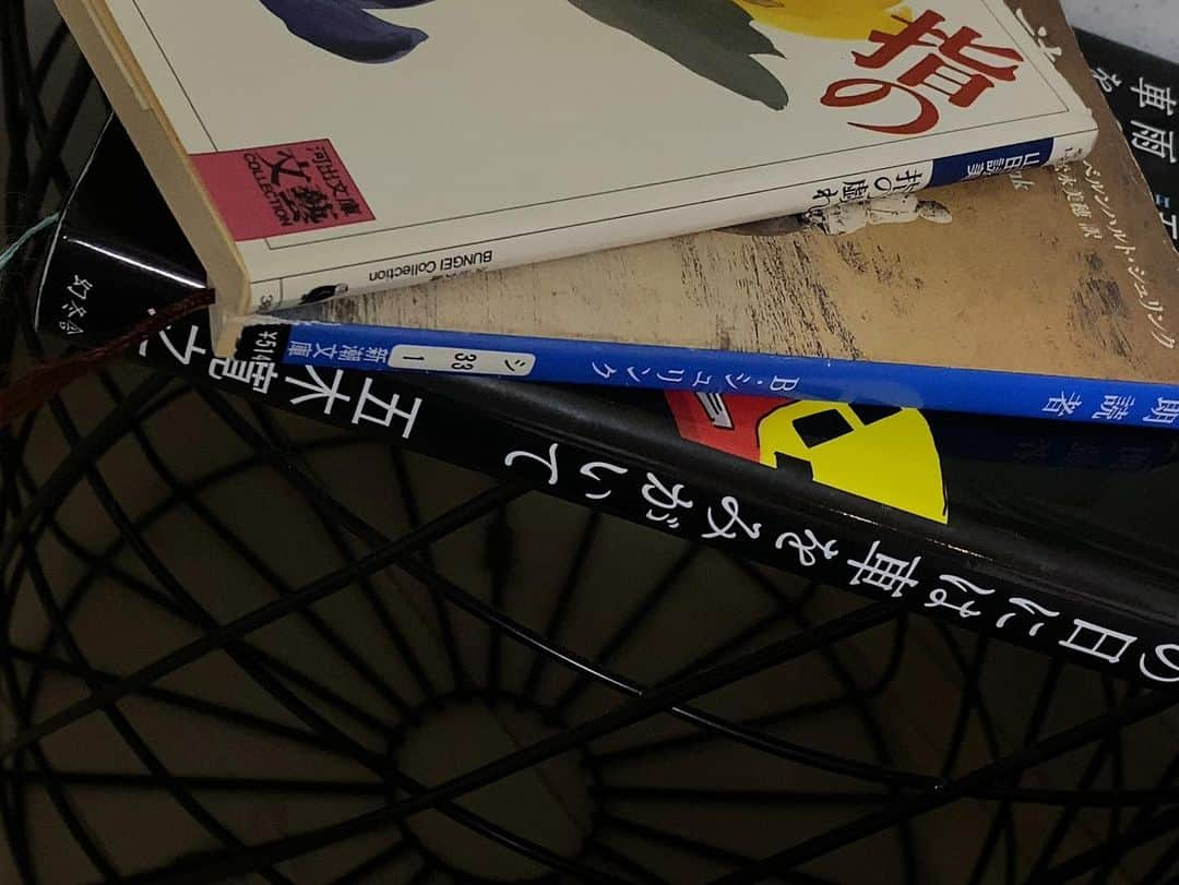 和内璃乃のインスタグラム：「ここ最近のお気に入り3選。  #山田詠美　_  #指の戯れ  今日読んで今日読み終えるほど山田さんの好きが詰まってた…色気ある言葉に胸を高鳴らせ、物語を通して自分まで好きになってしまうわがままながら魅力ある登場人物。好き。  山田さんの言葉とその描写は色気に溢れていて 言葉にするのも難しい程に言葉を奪われてしまう  #ベルンハルトシュリンク　　_ #朗読者  本編より抜粋__「苦しい結末を迎えてしまうと、思い出もその幸福を忠実には伝えないのか?幸せというのは、それが永久に続く場合にのみ本物だというのか?」 ドイツでは学校の教材として使ってたり、日本でも読書会や大学のゼミでも扱われているような題材だそうです。あとがきより2度読むといいそうなのでもっかいほど読もう~  単純な物語の中で母親ほど歳の離れた女性とぼくの複雑な恋模様が描かれているのかなと思ったらもっと深い世界の中でその恋が乱雑と絡まっていてそれがまた面白い本。  #五木寛之　_ #雨の日には車を磨いて  今1番私の心をときめかせている本． 車詳しくないけど、それでも面白くていつか自分も車と共に想い出を重ねていける大人になりたいなあと思ってしまった。その人の車遍歴と人生を一緒に歩んでる感覚があって、欲を言えばもう少しだけ…と思う。  この先も新しい車に出会って、その度に現れる心奪われる誰かによってその時間によって、車への人生への考え方が変化していくのか。この先また乗る車によってどんな記憶が彩られていくのか。もう少し達観していたかった。  車が変わるごとに現れる女性も浮いているようでしっかり筋があって。その人との出来事もどれも愛おしく思える色気ある人生だった~。山田詠美さんの本の中に何気なく登場した本なんですが、山田さんが綴るだけあって私も早速虜です。」