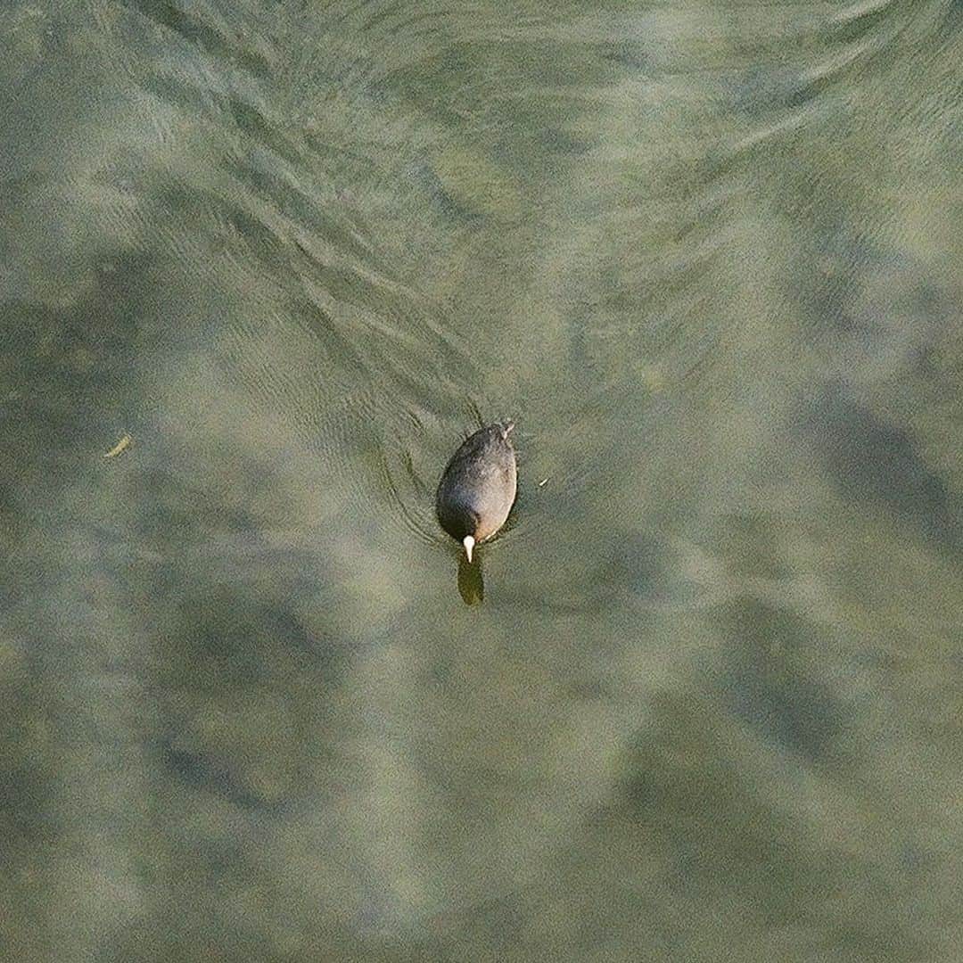 壺坂恵のインスタグラム