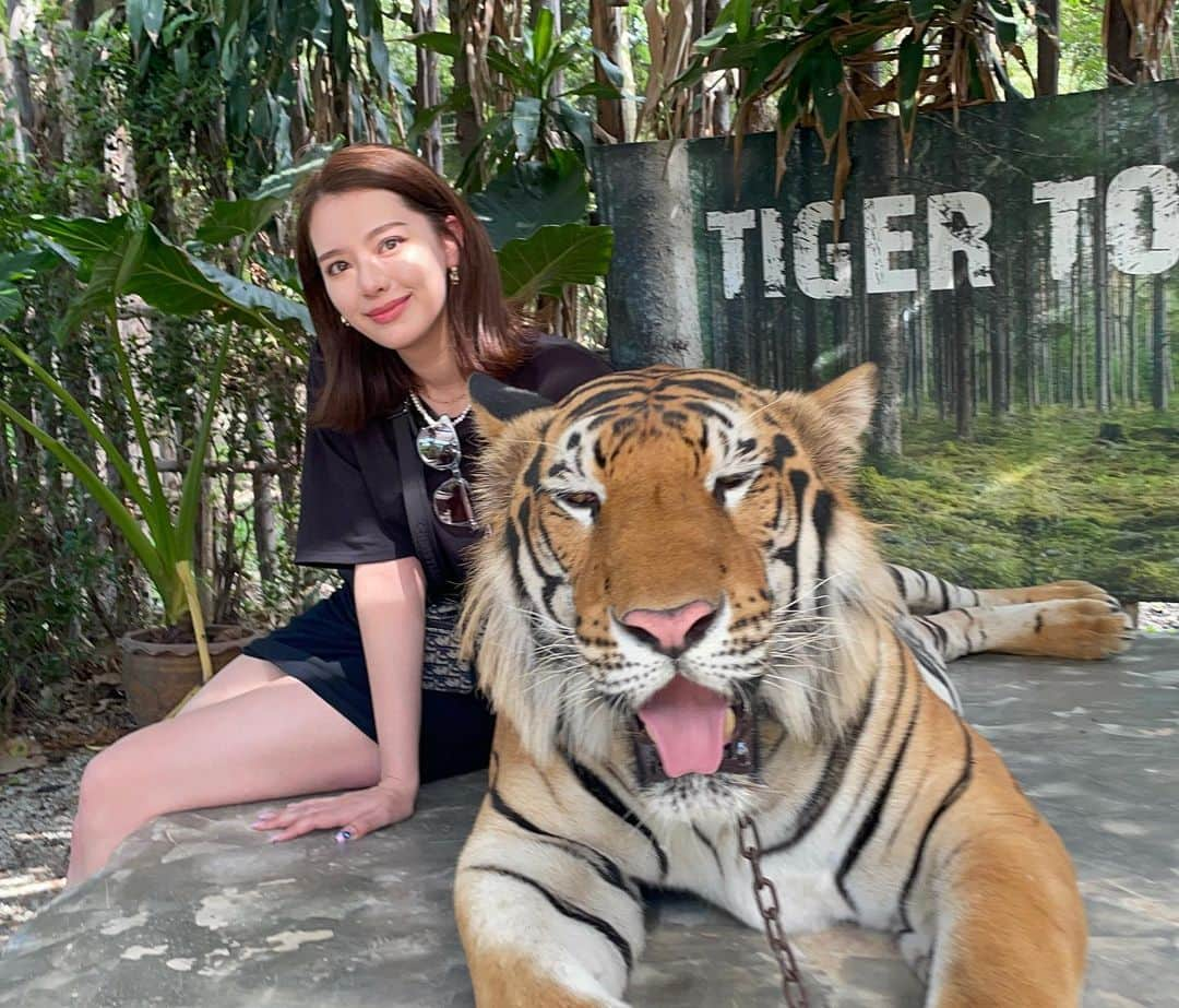 ソフィアのインスタグラム：「念願のトラと🐅📸」