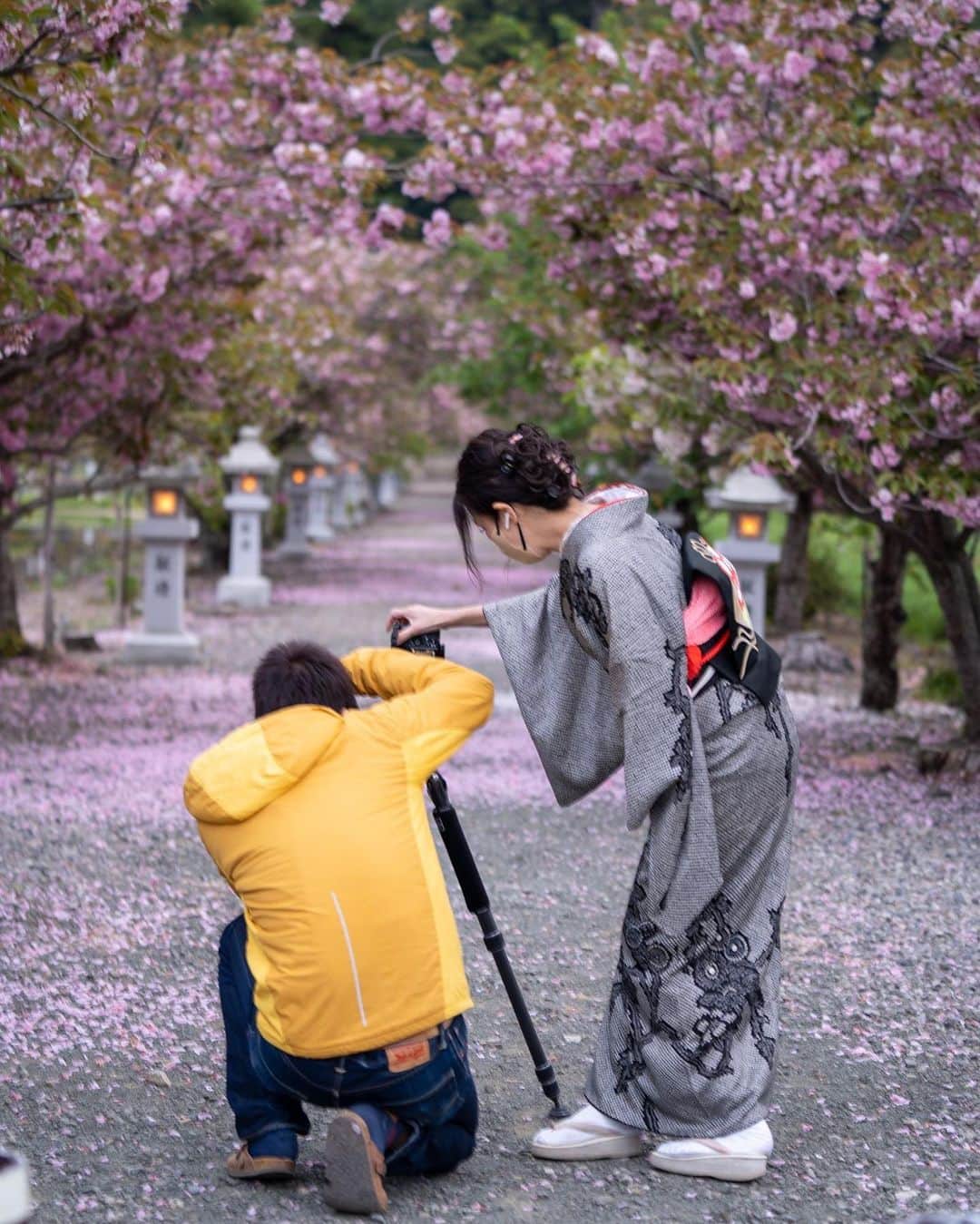 あや ◡̈*❤︎ayaさんのインスタグラム写真 - (あや ◡̈*❤︎ayaInstagram)「. 着物は相手を想い柄を選び、季節・ロケーションを想い色を選ぶ、日本の大切な心が宿ったもの。  って、キャプション用意して 今年は動画をカメラで残す予定やったんやけど...🫠  📍滋賀県 長浜市 @sakurasakuohto」5月11日 22時37分 - aya.15aya