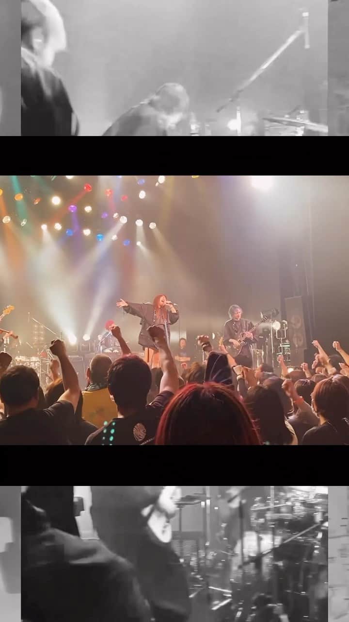AliAのインスタグラム：「_ 【LIVE MOVIE】   5/10(Wed)BIGCAT(OSAKA/JAPAN)  #AliA #かくれんぼ」