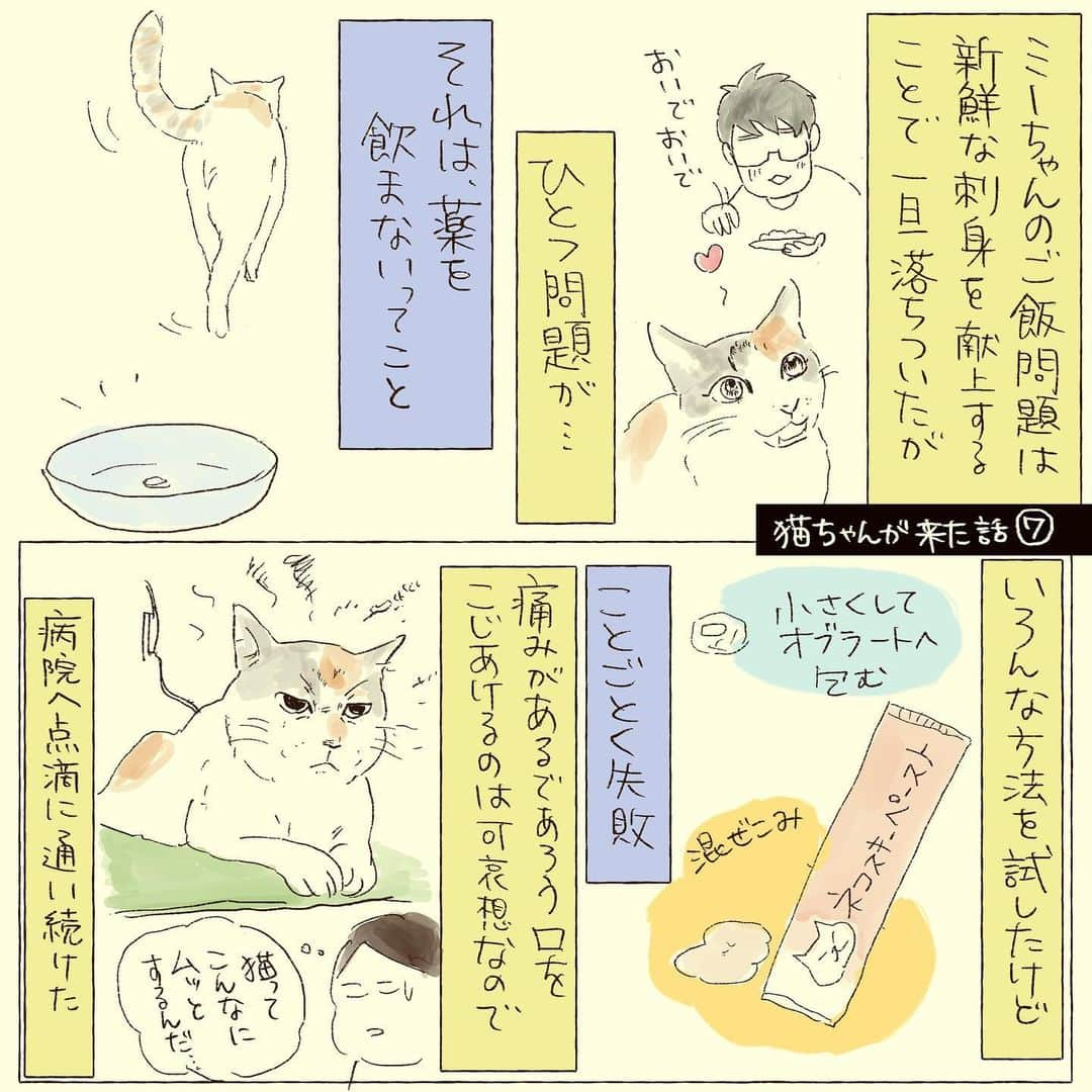 山森めぐみのインスタグラム