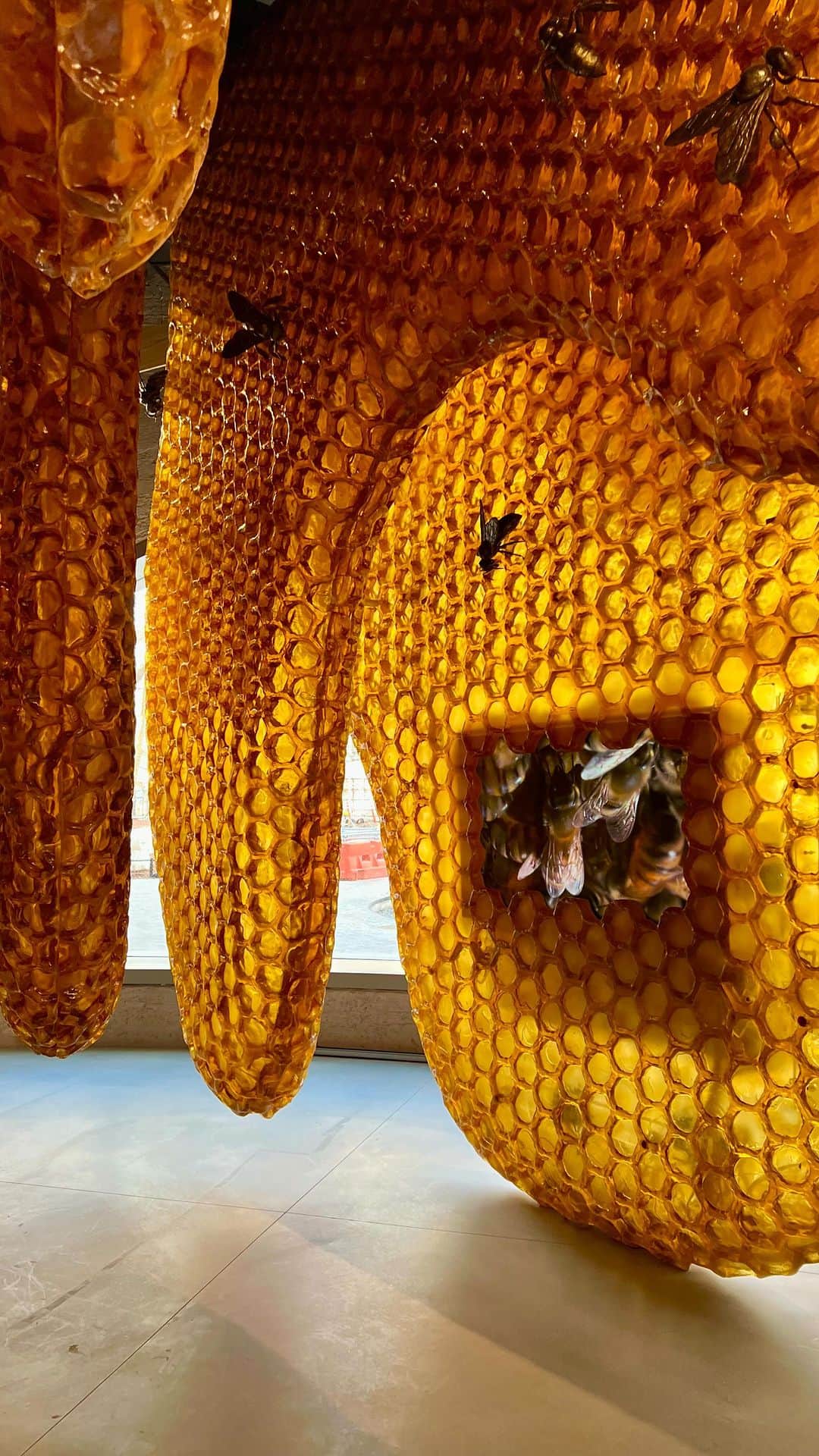 アメリカ自然史博物館のインスタグラム：「🐝See live insects, digital exhibits, and pinned specimens in the Solomon Family Insectarium! Entry to the Insectarium is included with all admission to the Museum.   #museums #insects #insectarium #nyc #bugs #gildercenter」