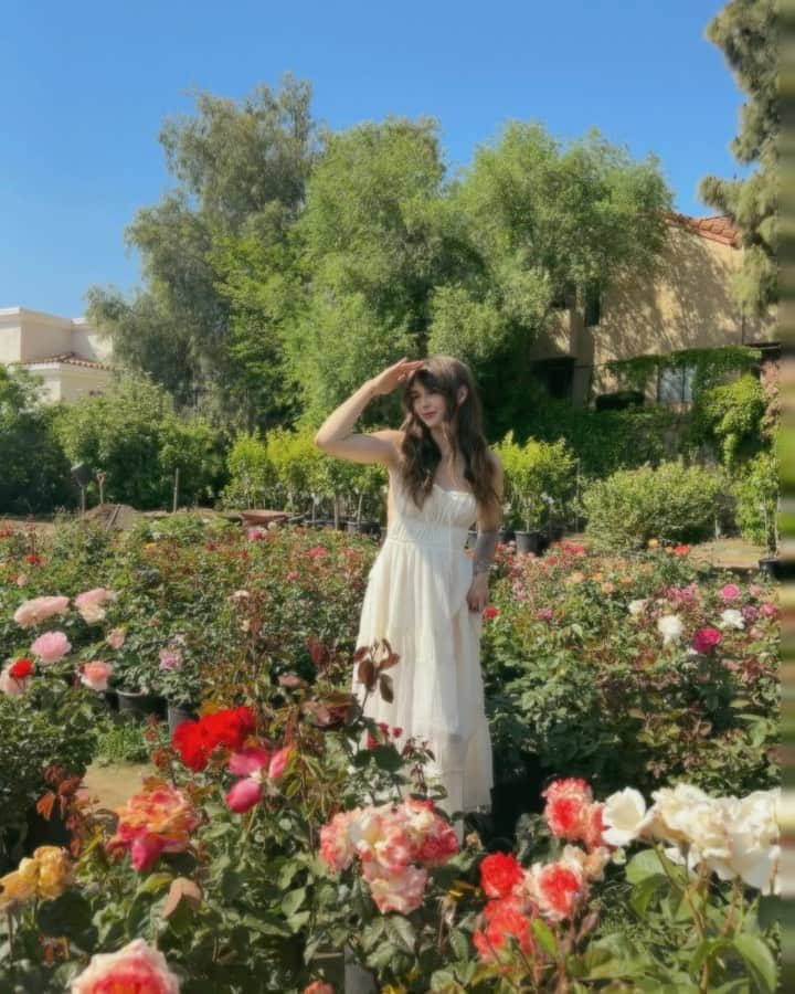 Acacia Brinleyのインスタグラム：「The thing is… I will 🛑s t o p🛑 ….. and I WILL 👃🏻smell👃🏻 the roses!!!! 🙈😭🤞🏻✨🌹💯💯💯💯」