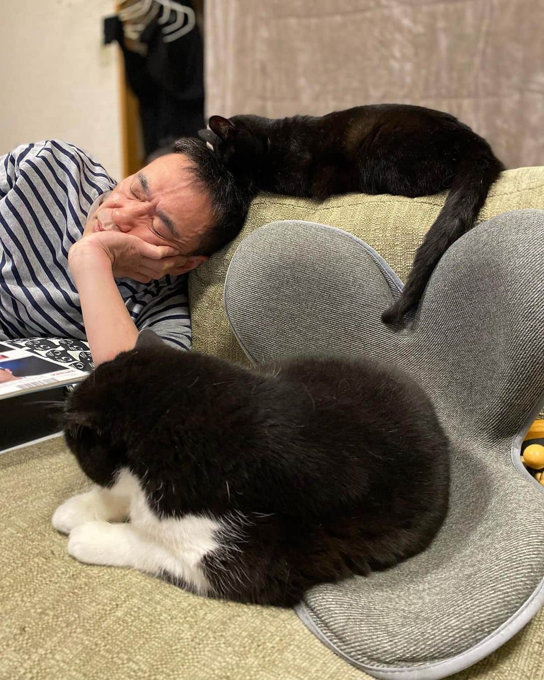 nemuru_catのインスタグラム：「#ベム#ルーク#眠る夫  食後の風景… るっちゃんは６.１２キロに なってました。 ご飯は変えてないから 運動不足なのね… * #ねこ部#cat#cats#neko#猫#catsofinstagram#bestmeow#catlover#ふわもこ部#黒猫#エキゾチックショートヘア#exoticshorthair#はちわれ」