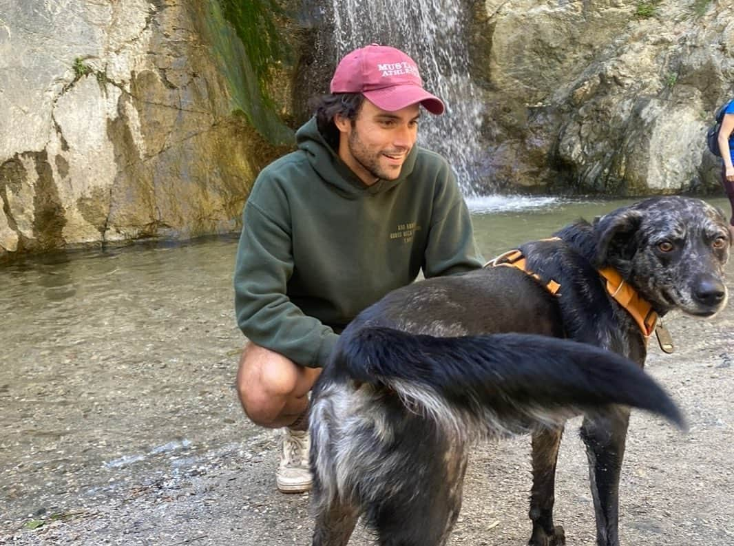 ジャック・ファライーさんのインスタグラム写真 - (ジャック・ファライーInstagram)「6 years ago today i got my son. I read a bunch of books about adopting a dog and carried out an exhaustive search while filming in Virginia, setting up meetings with a bunch of dogs to ensure I found the right pup. The first dog i met? Banjo. Didn’t bother meeting any others. I love him more than anything on this planet and am grateful for the countless times he’s saved my life. Thanks dingus. Swipe to the end to see Banjo on this day 6 years ago.」5月12日 2時25分 - jackfalahee