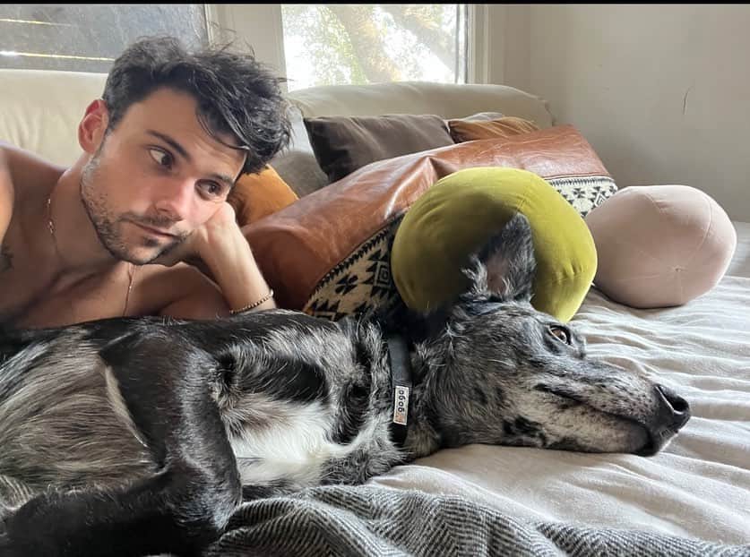 ジャック・ファライーのインスタグラム：「6 years ago today i got my son. I read a bunch of books about adopting a dog and carried out an exhaustive search while filming in Virginia, setting up meetings with a bunch of dogs to ensure I found the right pup. The first dog i met? Banjo. Didn’t bother meeting any others. I love him more than anything on this planet and am grateful for the countless times he’s saved my life. Thanks dingus. Swipe to the end to see Banjo on this day 6 years ago.」