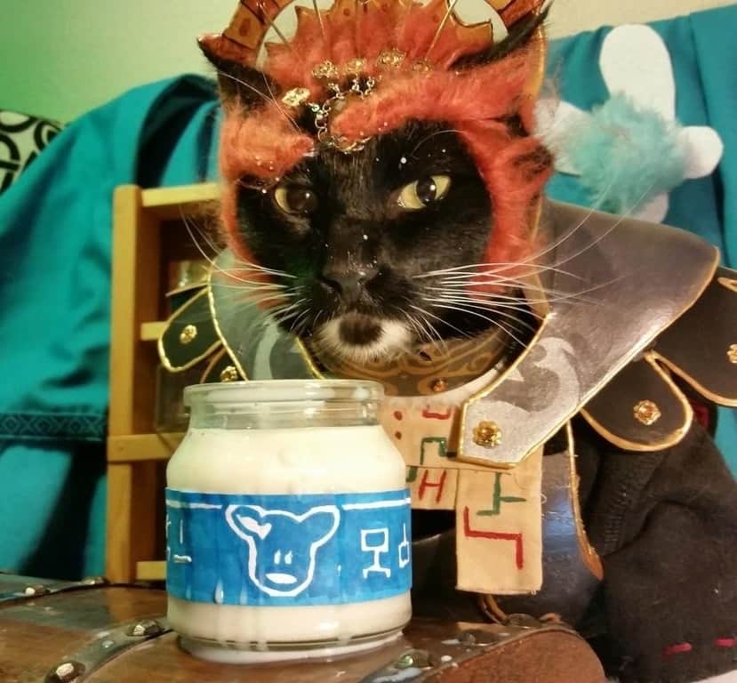 猫コスプレさんのインスタグラム写真 - (猫コスプレInstagram)「The Thirst for Ganondorf is real  #LegendOfZelda #Ganondorf  . . . . . #loz #thelegendofzelda #ganon #catcosplay #cosplay #cosplayer #cat #thirsty #lonlonmilk #catcostume #catsinclothes #petclothes #PetCostume #petarmor #catarmor #funnycats #ganondorfcosplay #legendofzeldacosplay」5月12日 3時46分 - cat_cosplay