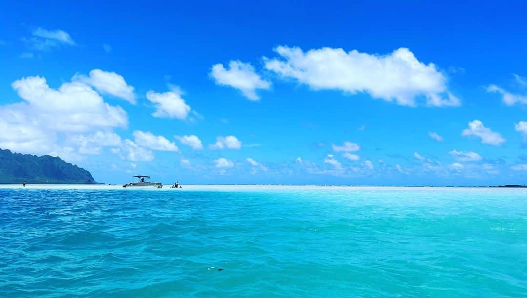 SHO-NOさんのインスタグラム写真 - (SHO-NOInstagram)「あゆのBLUE BIRDのPV場所！わら めちゃくちゃきれい🐬🏝 このあとふーかちゃんは🪼⇽こーゆークラゲにさされた ⁡ ⁡  #sandbar #sandisland #sandbeach #honolulu #Hawaii #BLUEBIRD #sandbeachhonolulu #beach」5月12日 4時34分 - shono.contact