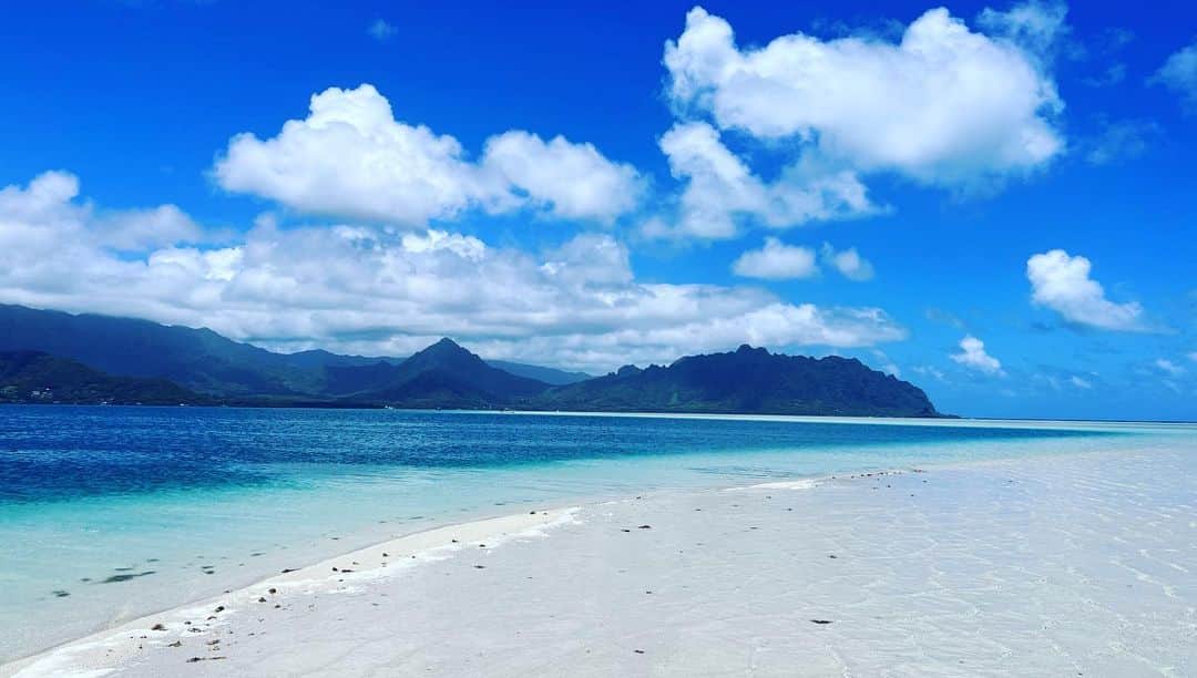 SHO-NOさんのインスタグラム写真 - (SHO-NOInstagram)「あゆのBLUE BIRDのPV場所！わら めちゃくちゃきれい🐬🏝 このあとふーかちゃんは🪼⇽こーゆークラゲにさされた ⁡ ⁡  #sandbar #sandisland #sandbeach #honolulu #Hawaii #BLUEBIRD #sandbeachhonolulu #beach」5月12日 4時34分 - shono.contact