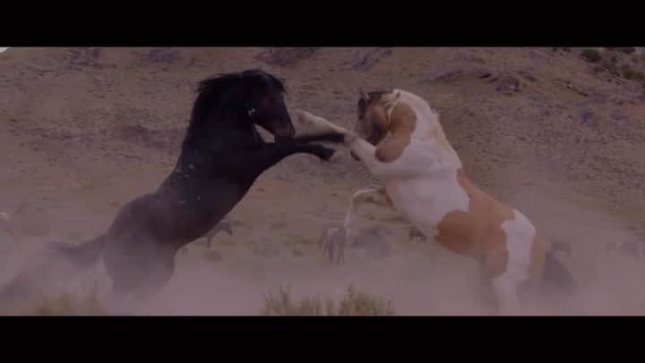 ベス・ベアーズのインスタグラム：「There are few things that capture my heart and soul more deeply than the fight to keep America's Wild Horses WILD. To stop ripping them from their families and putting them into holding pens of sickness and death. We can do better. We will do better. Starting tomorrow- you can learn more by watching this incredible film - and then I hope you take action by visiting @wildbeautyspirit website and help us #savewildhorses one thing you can do today is repost this video with the hashtag #Istandwithwildhorses tag me and maybe you'll get a personal thank you/ shout out 😍😍🐴💪🏻  Repost @wildbeautyspirit ・・・ @ashleyavis  On the advent of our release tomorrow, check out the exclusive release of our “Investigation” trailer for WILD BEAUTY: MUSTANG SPIRIT OF THE WEST.  A huge thank you to @movieweb for the beautiful review, we are absolutely honored!   “Wild Beauty: Mustang Spirit of the West is a new documentary film from the critically acclaimed Ashley Avis (Disney+’s Black Beauty) and continues her exploration of the American West and the lives and experiences of horses throughout it.  With gorgeous cinematography accompanied by surprisingly gripping and suspenseful investigative journalism, Wild Beauty explores the political and economic institutions with special interests that have led to the gradual decline in the population of wild horses.  The film is a personal and moving chronicle of this plight, written, directed, narrated, and edited by Ashley Avis, who puts her heart and soul into the film as someone who truly loves and cares about horses. The creatures are more than transportation tools for people to “break” and train, to put all their weight on and ride, to dig their spurs into and whip, to leave alone in a box all night. There is a tendency for animals to be discarded once they lose their functionality in many societies, and horses are now included in that sad state of affairs. Avis’ film hopes to shine a light on that and encourage reform, while also creating a visually spectacular chronicle of the American West.”」