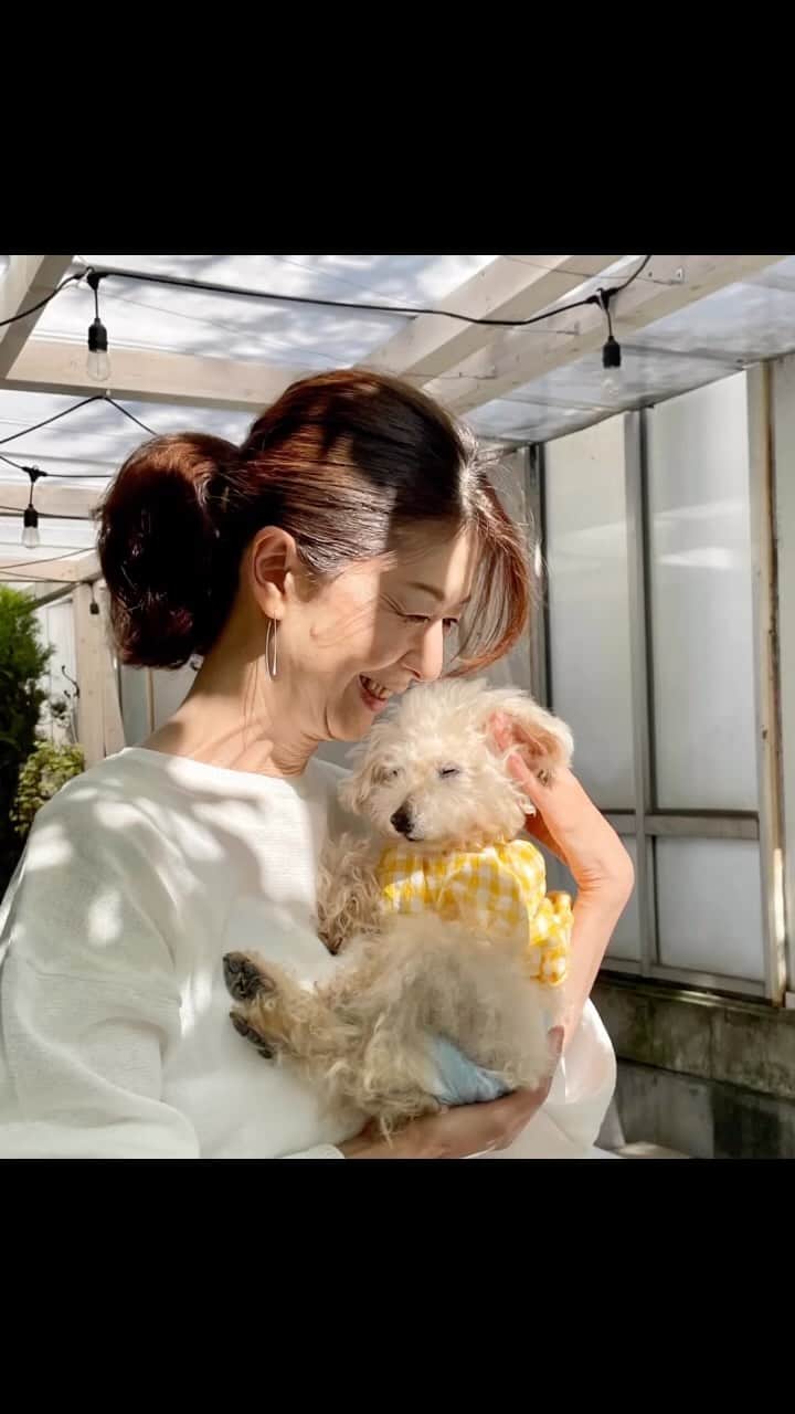 Maruのグルメインスタ