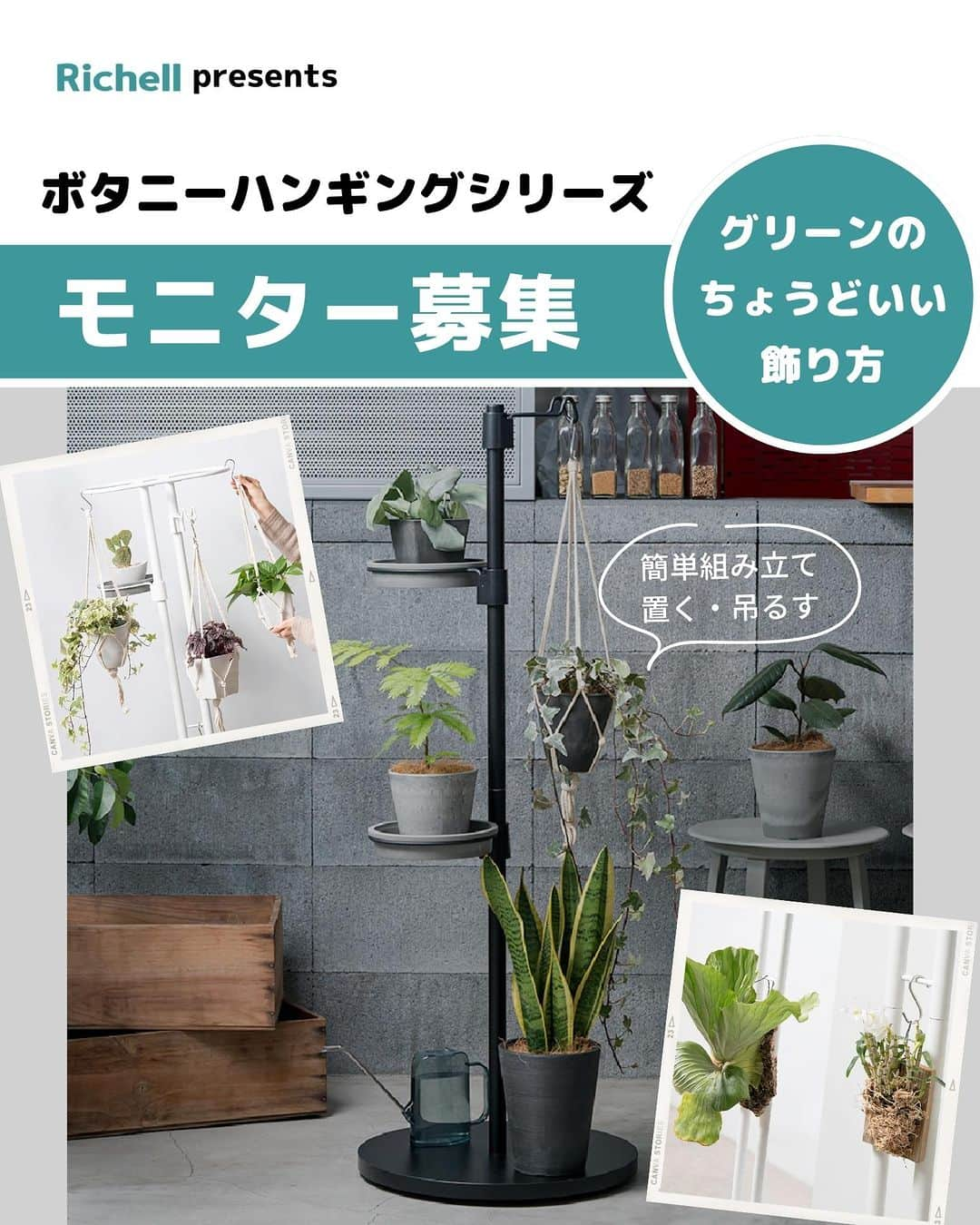 LOVEGREEN -植物と暮らしを豊かに。のインスタグラム：「🌿モニター募集のお知らせ🌿  LOVEGREENユーザーの間でも大人気の「ボタニー ハンギングシリーズ」に、選べる2タイプが新登場！  観葉植物を置いたり、吊るしたり、簡単組み立てであっという間にボタニカルな空間がつくれちゃいます🎉  シリーズに加わったのは下記の２つ！ ①自立式スタンドで植物をたっぷり飾れる「ボタニー ハンギングスタンド」 ②底面キャスター付きで移動も楽々の「ボタニー キャスター付ハンギングポール」  今回LOVEGREENユーザー限定で下記アイテムのモニターを募集します🙂 ↓ ・ボタニー ハンギングスタンド【ホワイト】（3名様） ・ボタニー キャスター付ハンギングポール 【ブラック】（2名様） ・ボタニー キャスター付ハンギングポール【ホワイト】（2名様）  「ボタニカル空間を手軽につくりたい！」という人はぜひお試しください☘  ＝＝＝＝＝＝＝＝＝＝＝＝＝＝＝＝＝＝＝＝＝＝＝＝  ≪応募期間≫ 2023.5.12（金）～5.18（木）  ≪応募条件≫ ・インスタグラムが非公開アカウントではない方 ・モニター商品の使用体験をインスタグラムのフィード 　ストーリーズ・リール動画などで投稿いただける方 　※5月～6月にかけて商品の使用感や使用シーン等の 　　投稿をお願いいたします。 　 ・以下ハッシュタグ／メンションをつけていただける方 　↓ #ボタニーハンギングシリーズ @richell_official_jp @lovegreen_official  ※投稿写真は、LOVEGREEN記事／公式SNSで使用させていただくことがあります。  ≪応募方法≫ ①本アカウントをフォロー ②下記から希望商品1点を選んでコメント一言で応募完了！ ↓ ・ボタニー ハンギングスタンド　ホワイト ・ボタニー キャスター付ハンギングポール ブラック ・ボタニー キャスター付ハンギングポール ホワイト  ≪当選人数≫ 7名様  ≪選考≫ 社内選考の上、インスタグラムのDMにてご連絡させてい ただきます。  ＝＝＝＝＝＝＝＝＝＝＝＝＝＝＝＝＝＝＝＝＝＝＝＝  本モニターの募集は締め切りました。当選者の方には後日、インスタグラムのDMにてご連絡をさせていただきます。たくさんのご応募ありがとうございました。  #ボタニーハンギングシリーズ #植物のある暮らし #観葉植物のある暮らし　#インドアグリーン　#ボタニカル空間　#モニター募集 #モニター募集中」