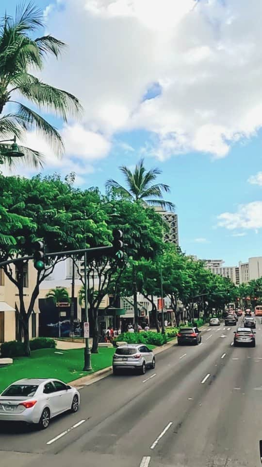 天霧真世のインスタグラム：「【𝙏𝙧𝙤𝙡𝙡𝙚𝙮 𝘽𝙪𝙨🗻🌴】 二階建てトロリーバスからの景色🚌🌴🎶 ⁡⁡·⁡⁡⁡ ワイキキからアラモアナショッピングセンター間を走る、ワイキキトロリーです😊🌺🌴⁡⁡ ⁡ ⁡ＪＣＢカードを見せたら無料で乗り放題😍 ⁡· ⁡· ⁡今日も笑顔溢れる素敵な週末でありますように😊🎊⁡ ⁡· ⁡· ⁡· #hawaii#oahu#honolulu#trolleybus#laterpost⁡ ⁡#ハワイ#オアフ島#ホノルル#トロリーバス#🚌🌴 · 🌈@mayomayo.com_ 💎@mayosacise.official ✏@mayo_paint · ·⁡」