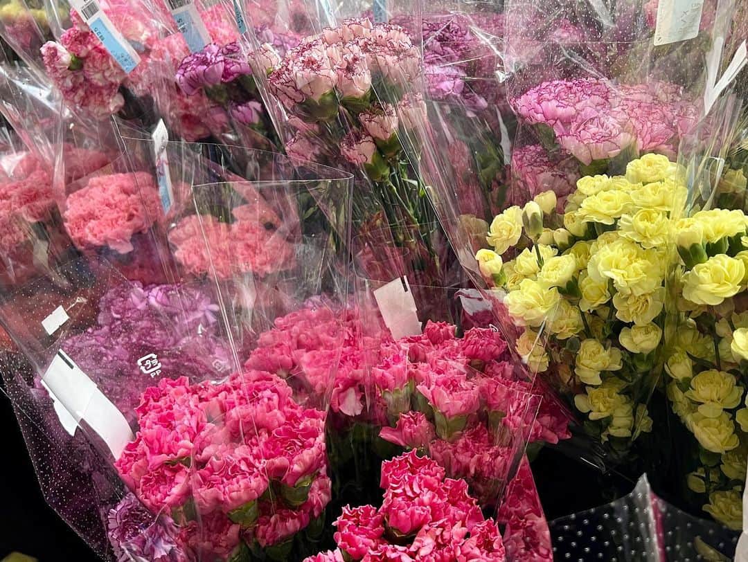篠原梨菜さんのインスタグラム写真 - (篠原梨菜Instagram)「5/14は母の日！ カーネーションがいっぱいの北足立市場花き部から...💐 赤やピンクが人気とのことですが、変わり咲きやレインボーや青など色とりどり！ フレッシュな生花の香りに包まれました。 お花っていいなあ😍 #thetime_tbs #カーネーション #北足立市場  #北足立市場花き部 #母の日」5月12日 8時46分 - shinorinatbs