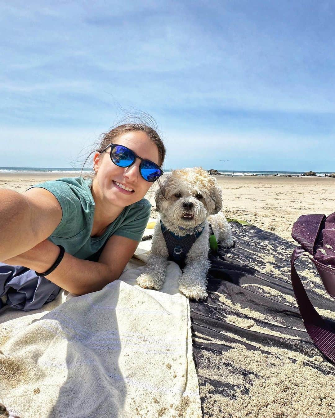 マリッサ・キャステリさんのインスタグラム写真 - (マリッサ・キャステリInstagram)「Beach day 🏖️ swipe left to see Mosby living his best life ❤️」5月12日 8時51分 - marissacastelli